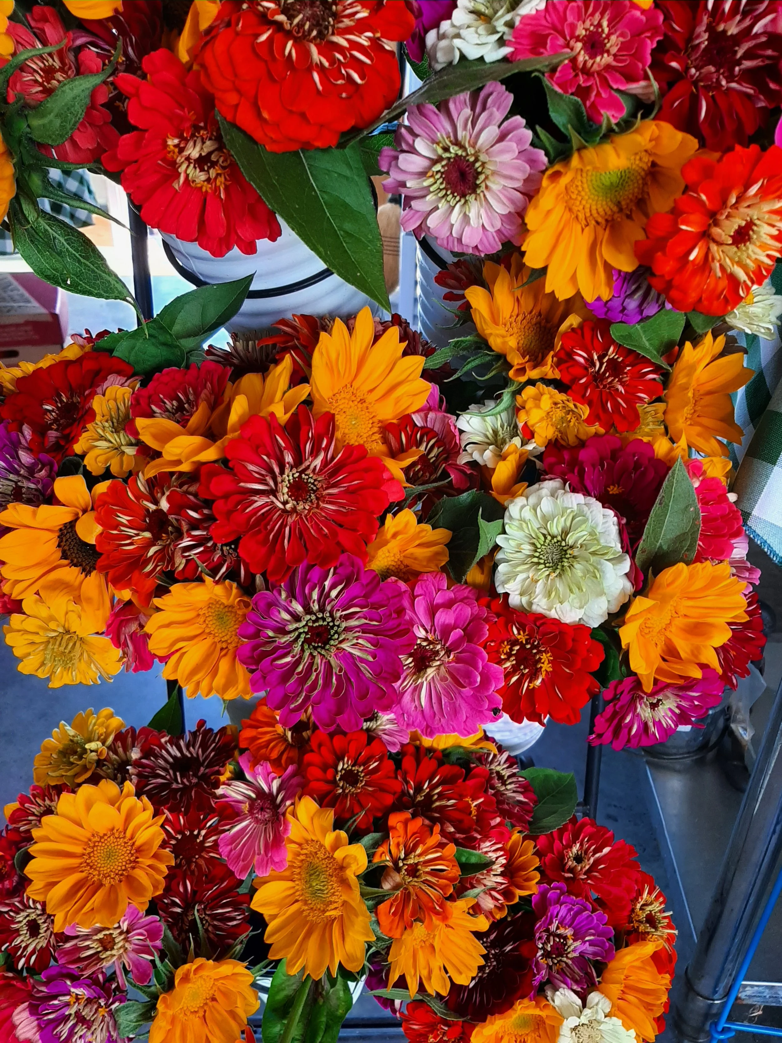 Display Flower.jpg