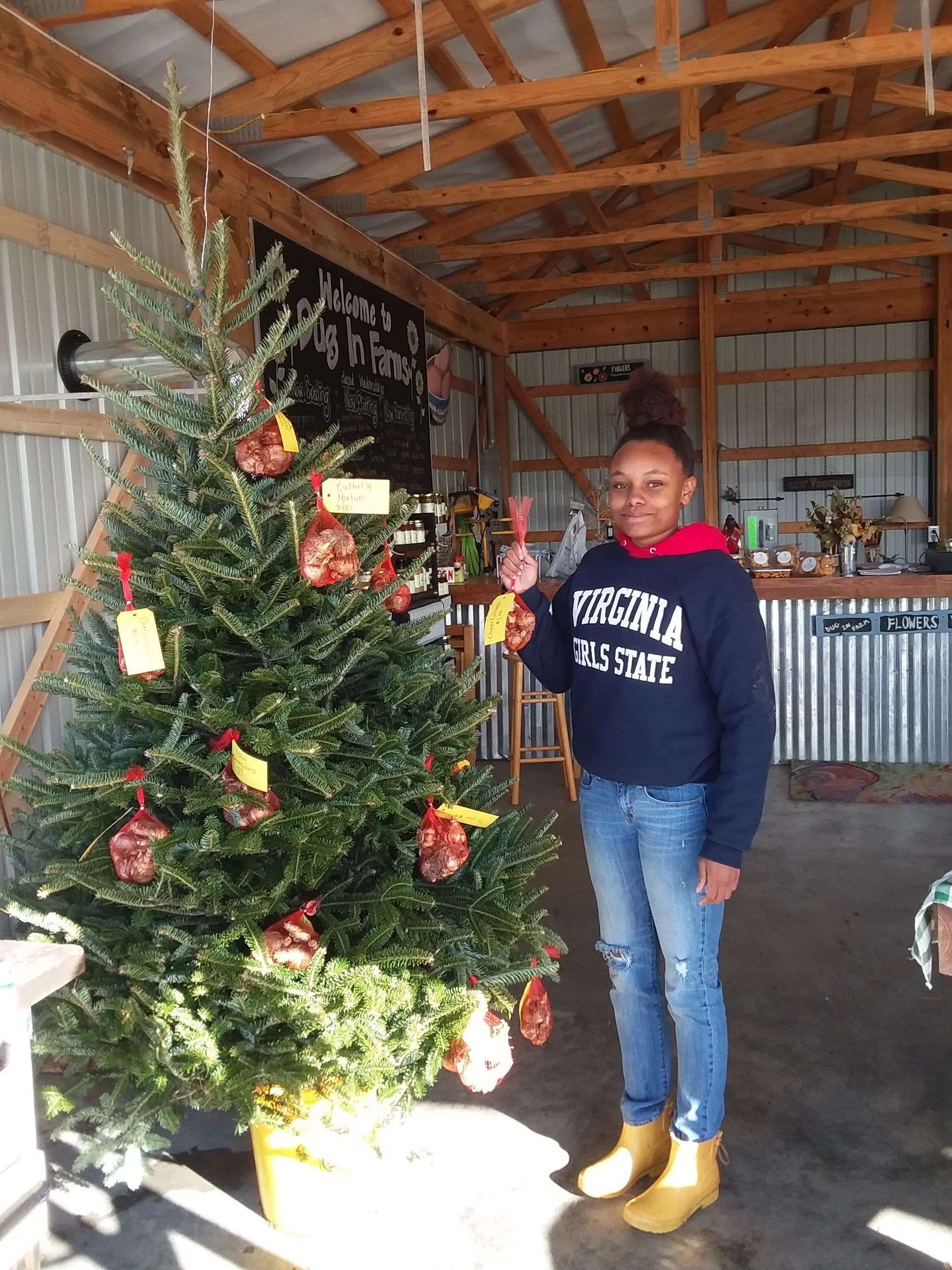 Monica Xmas Tree.jpg