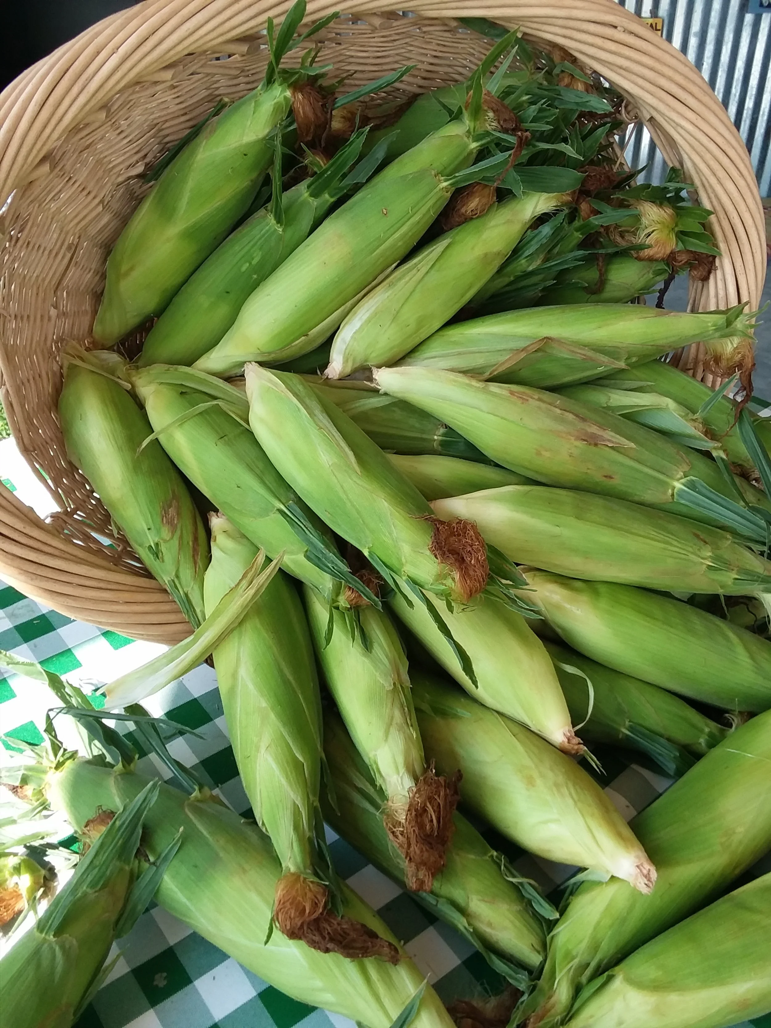 Sweet Corn.jpg