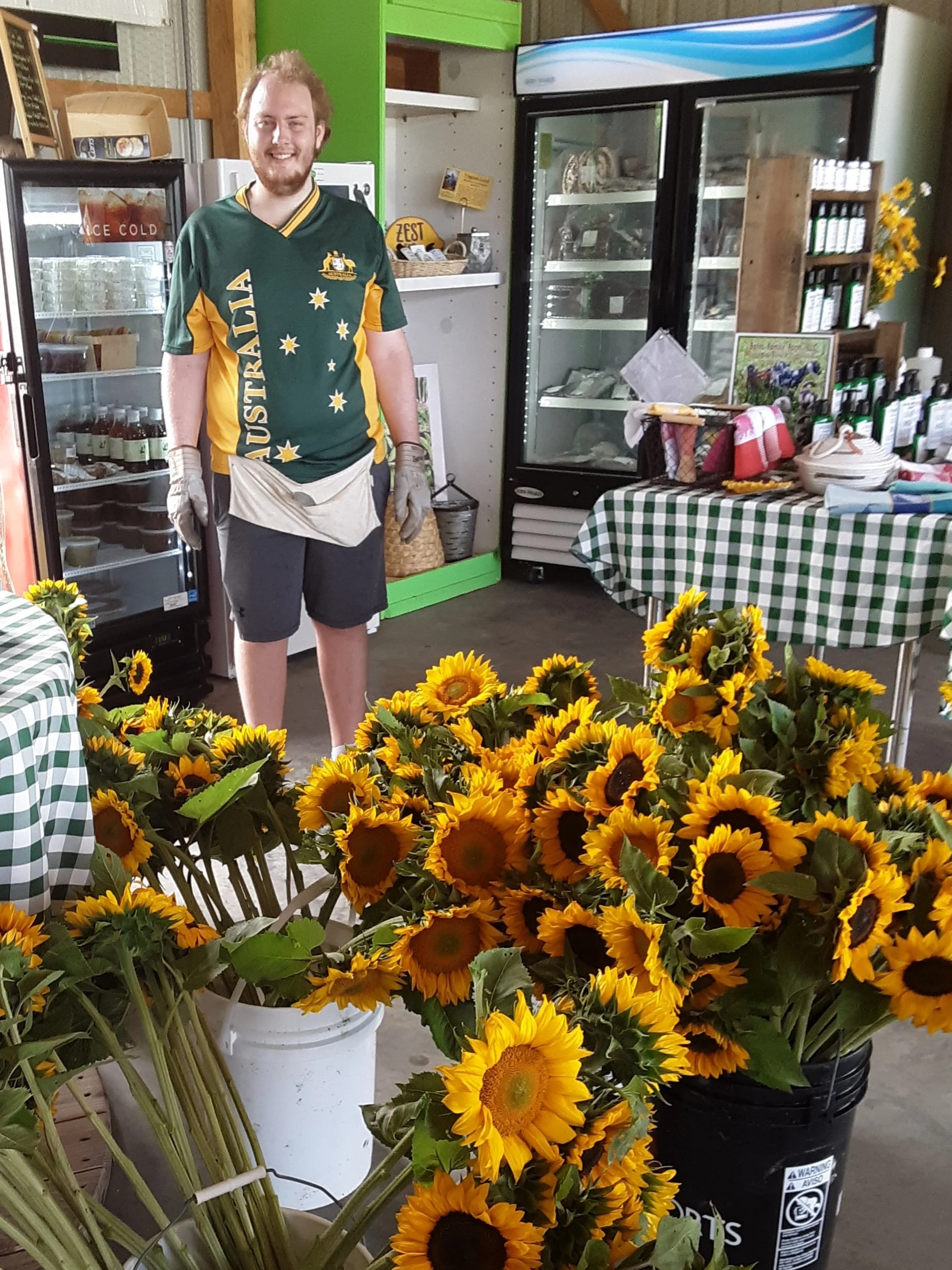 Kellan Sunflowers.jpg