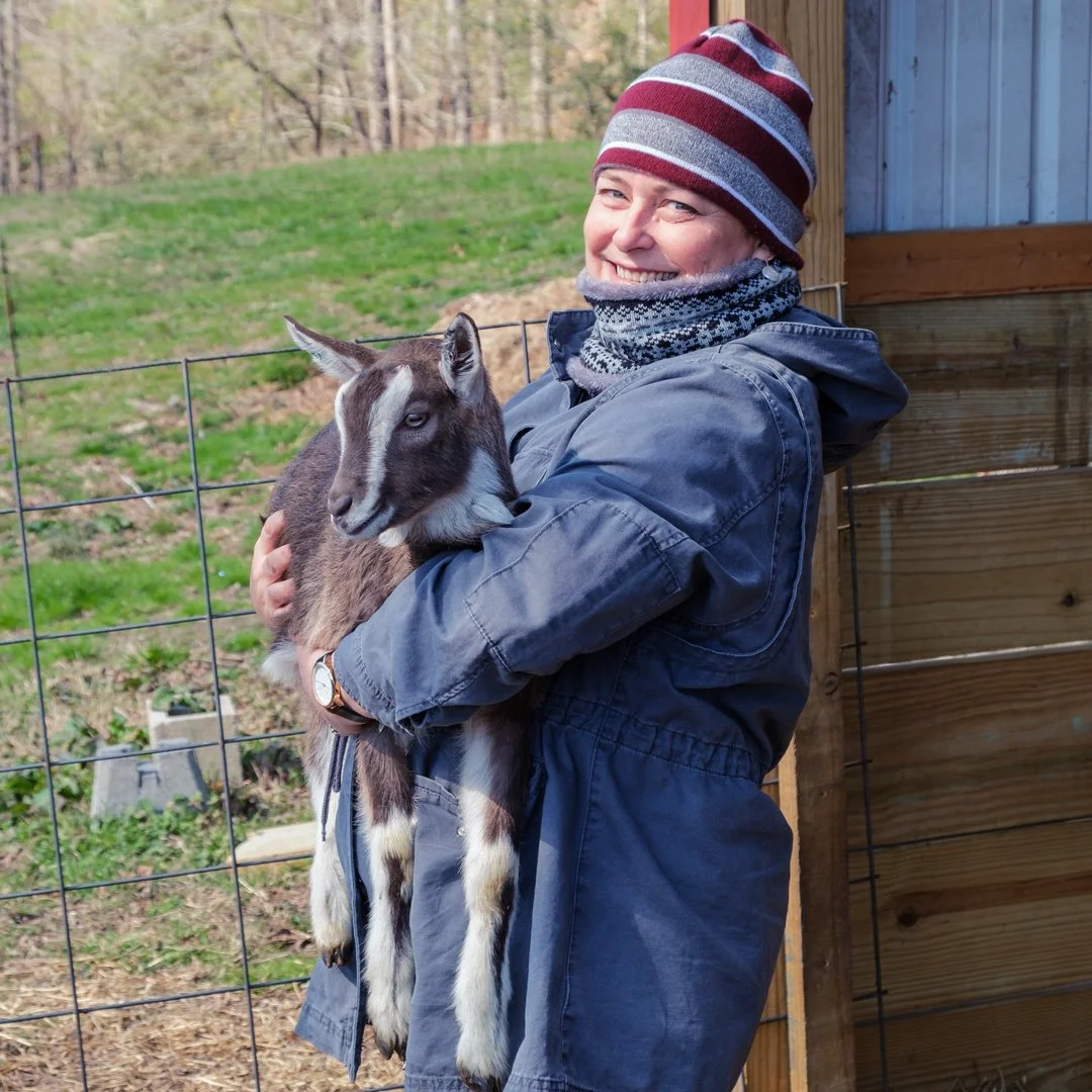Bex-Goats-4996.jpg
