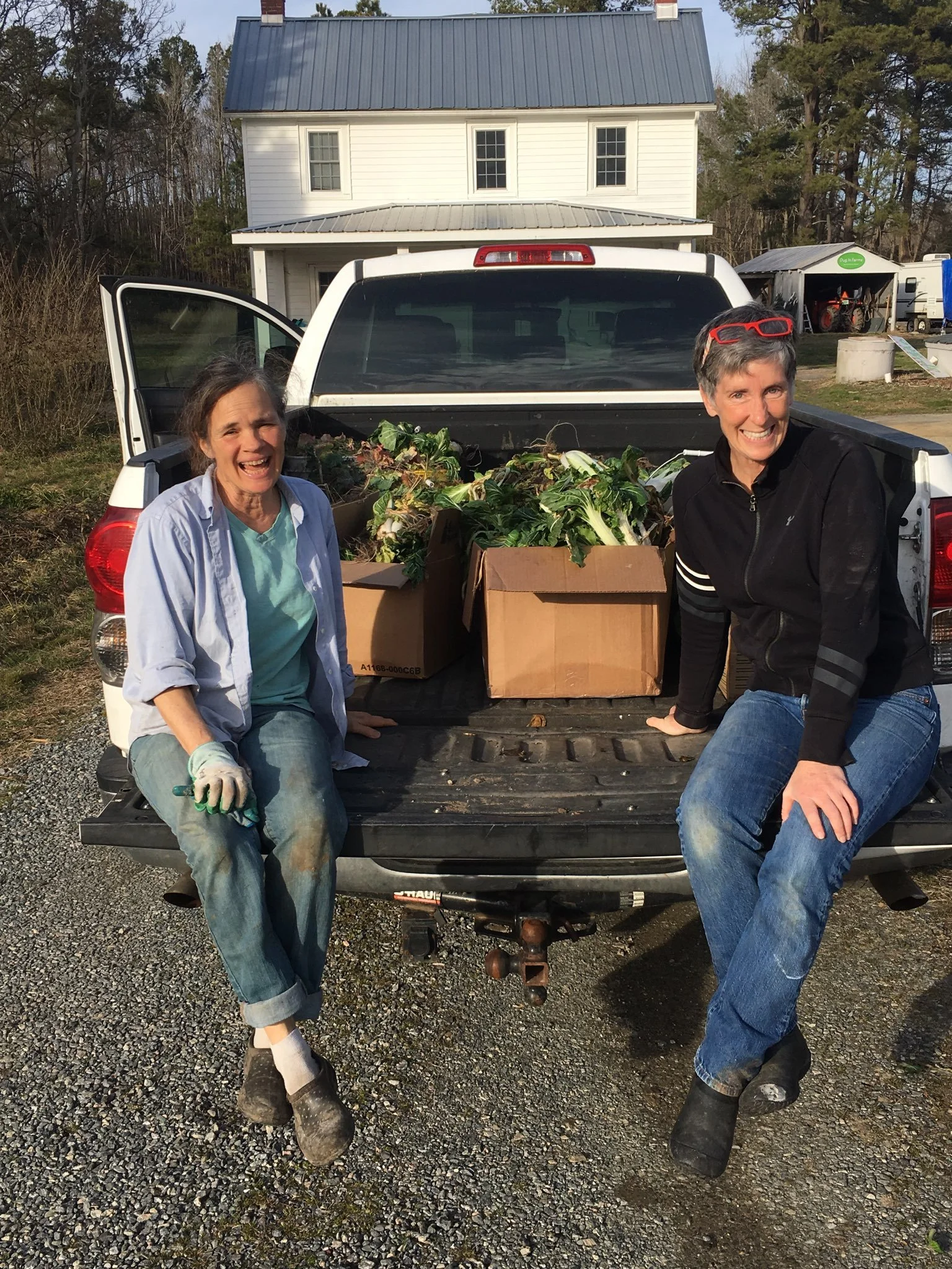 Karen Carolyn Farmers.jpeg