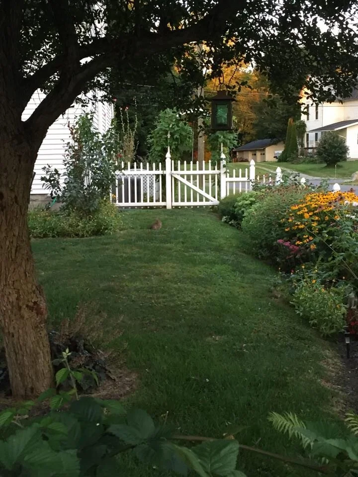 Gardening is a part of cottagecore (photo by Grace Nuth)