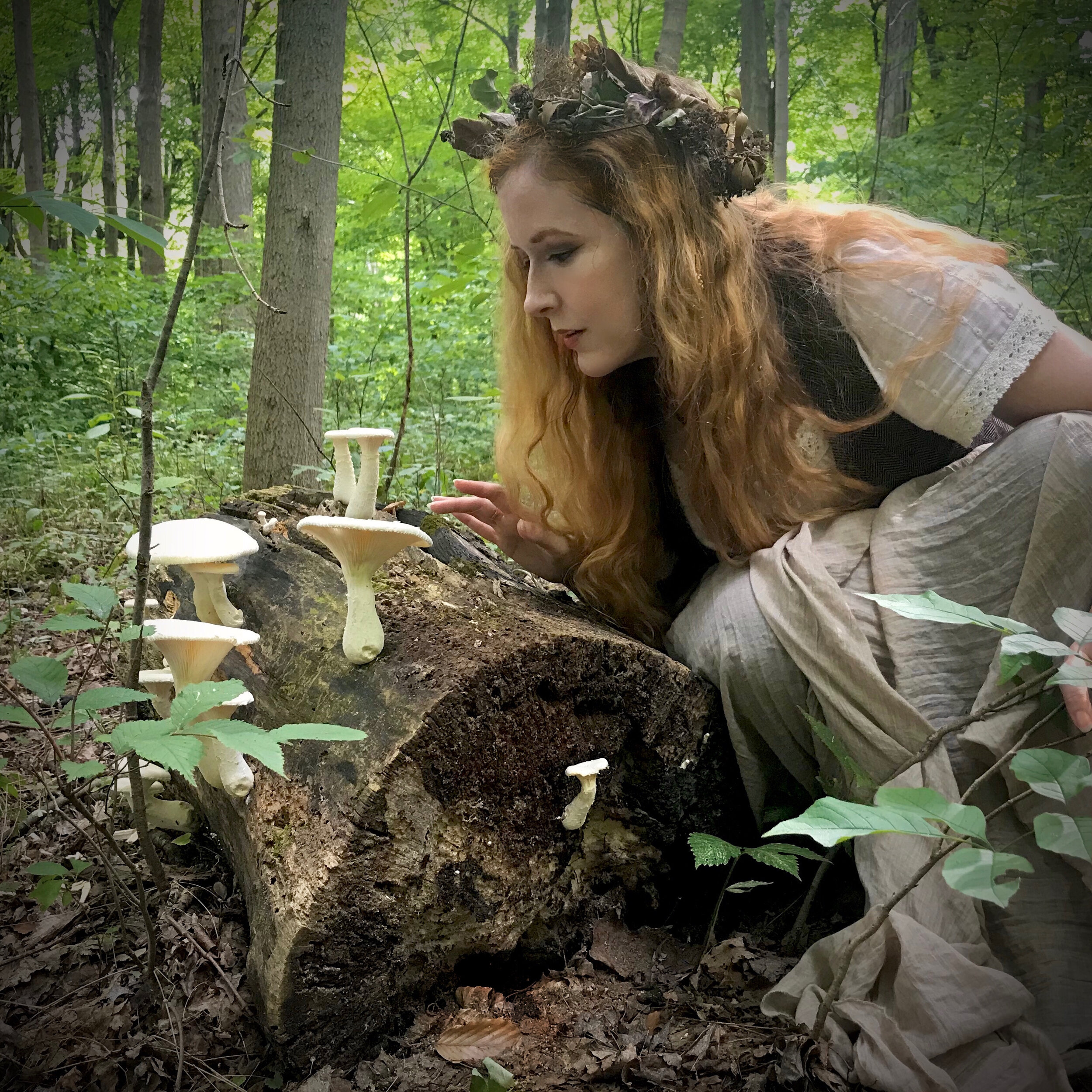 Following Faeries Into the Forest