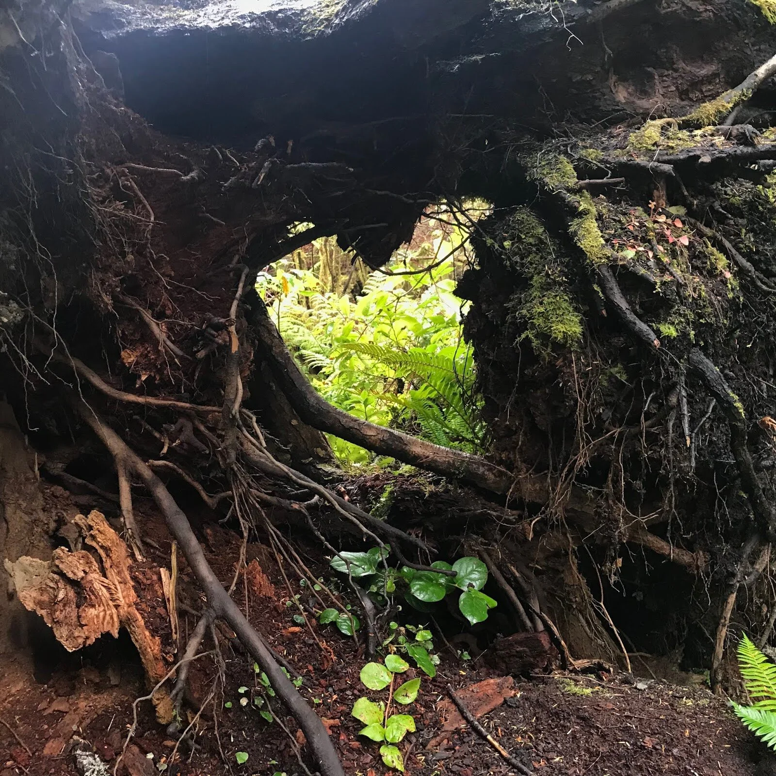 The State of My Heart is Burning