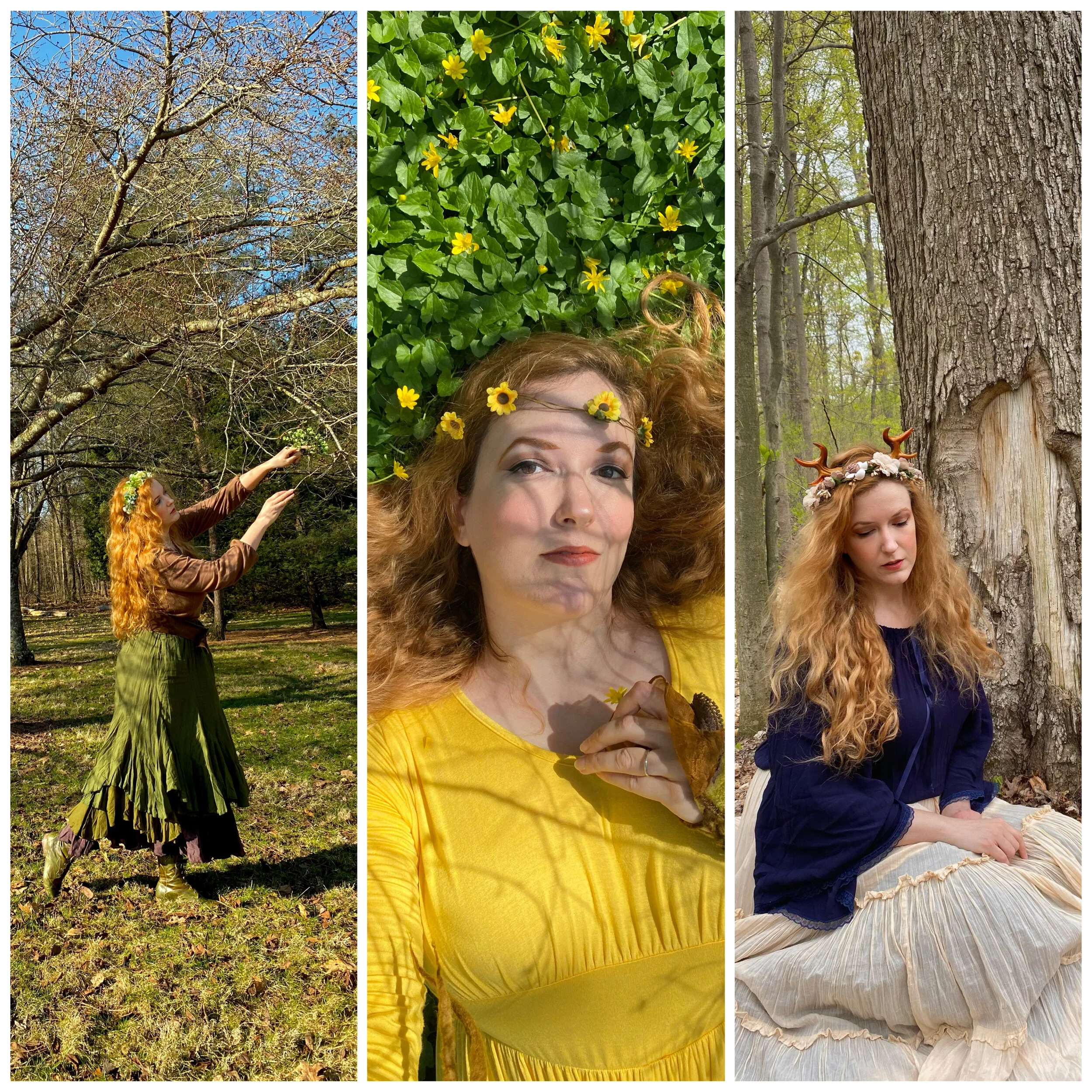 Forest Aesthetic Videos