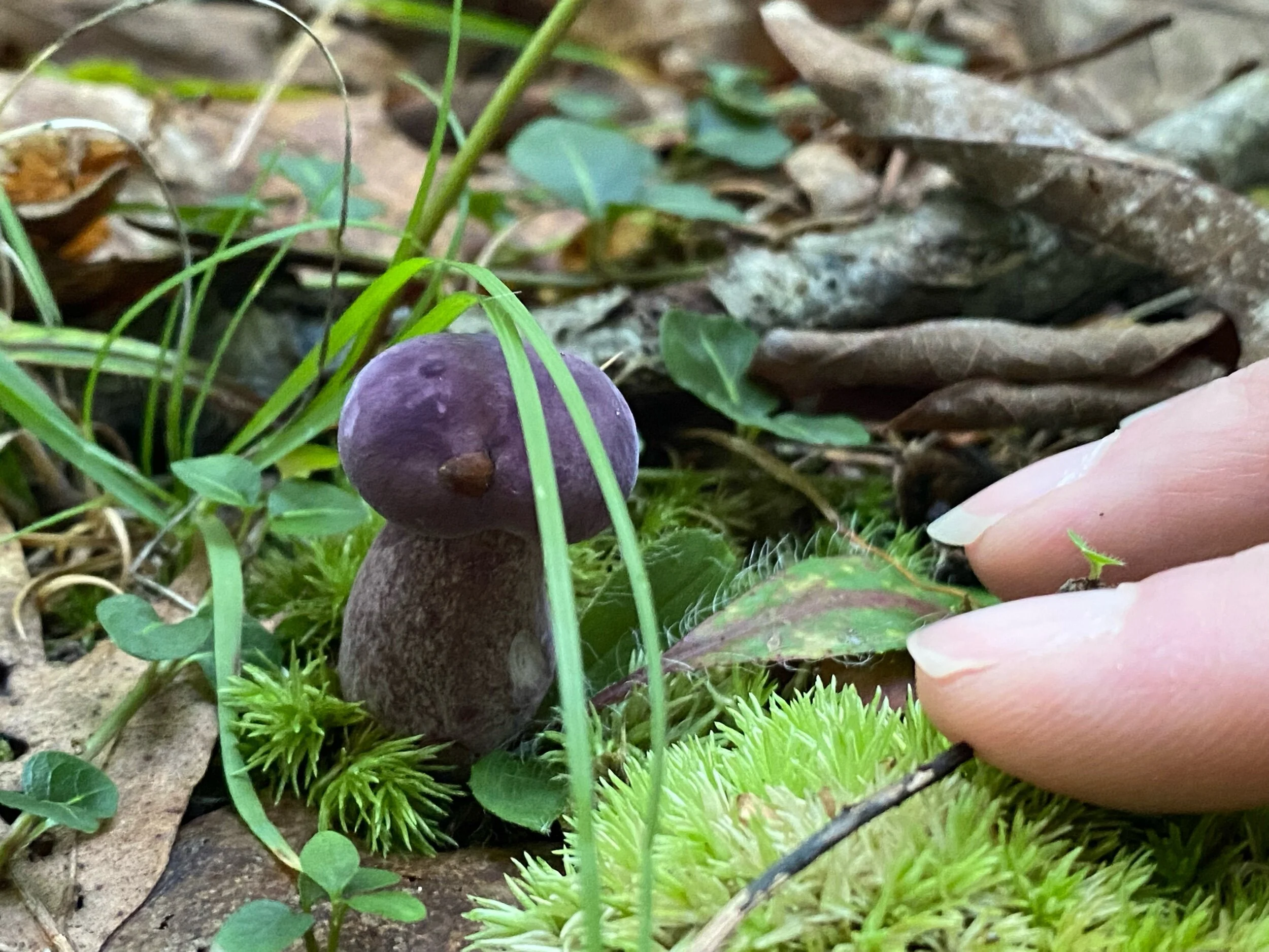 Checklist for a Magically Mindful Life