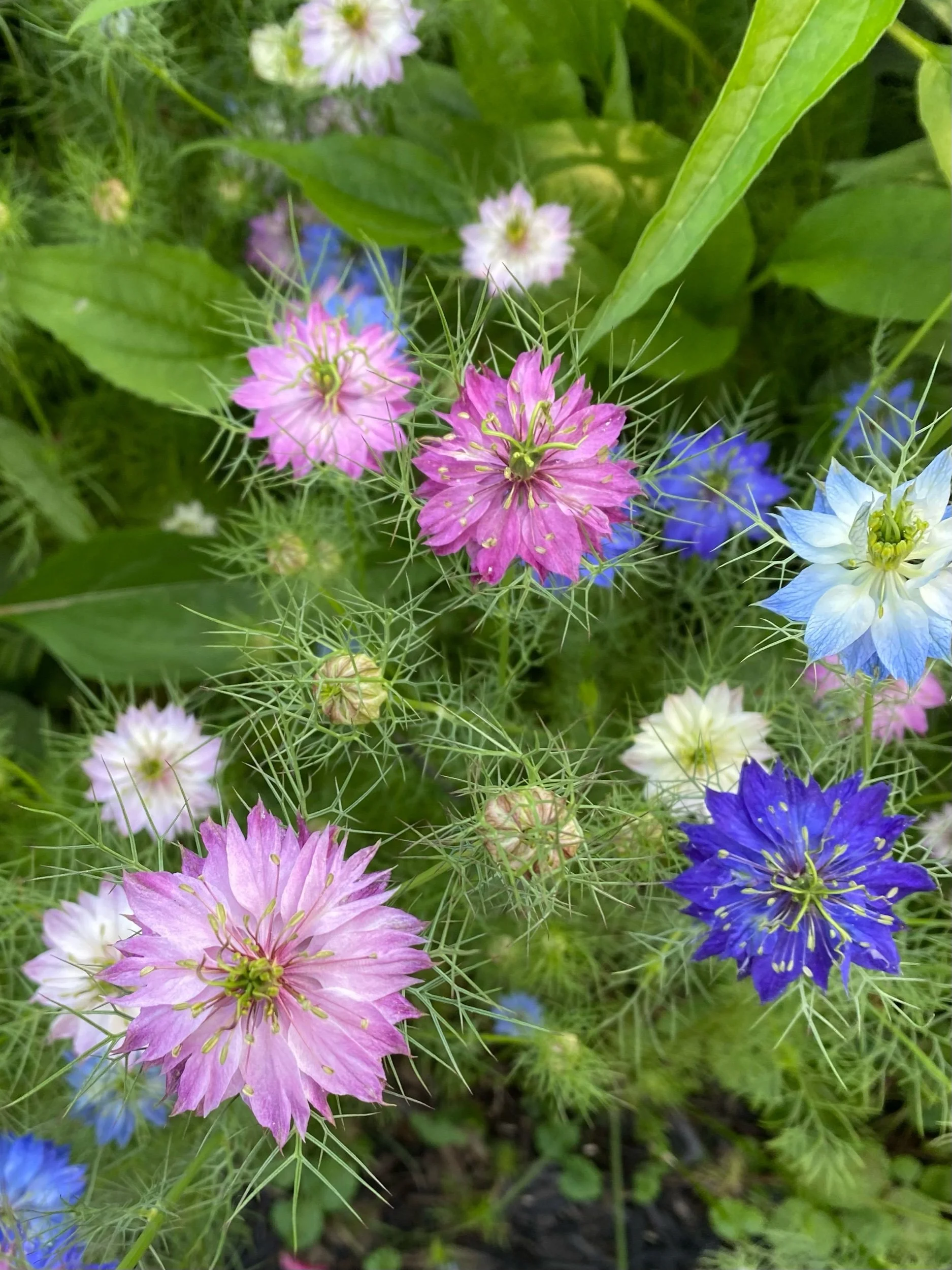 Every Day, This Moment