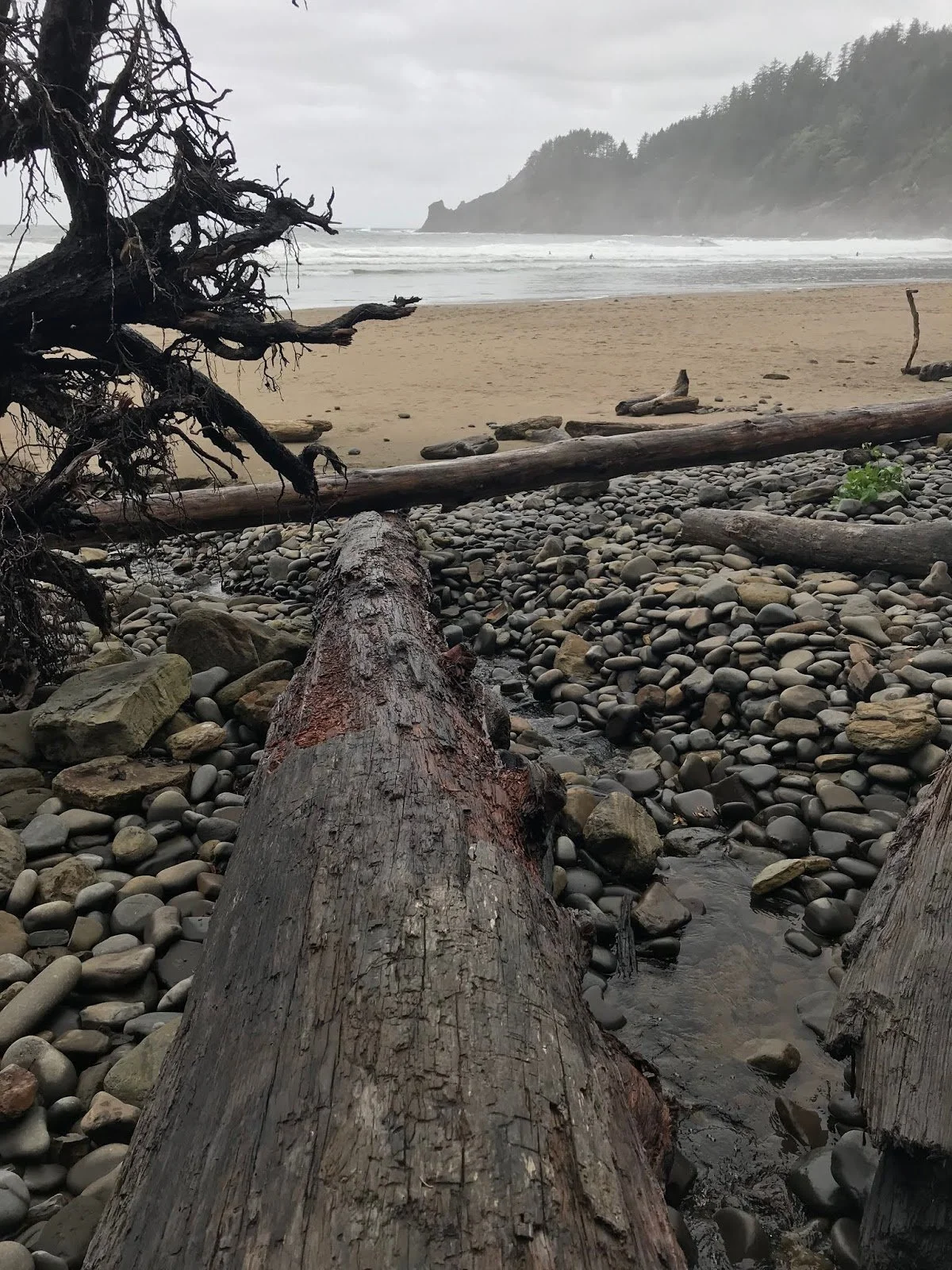 Afraid of the Stream of Consciousness