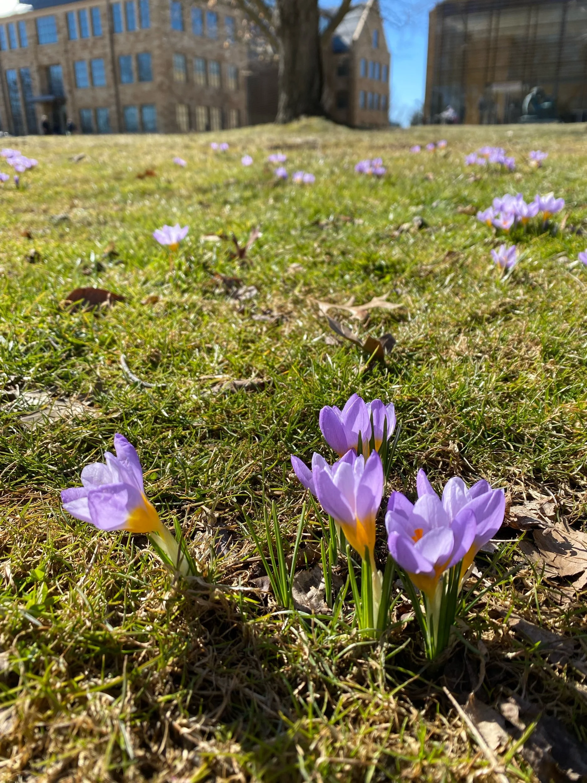 Mythic March: It Is Time