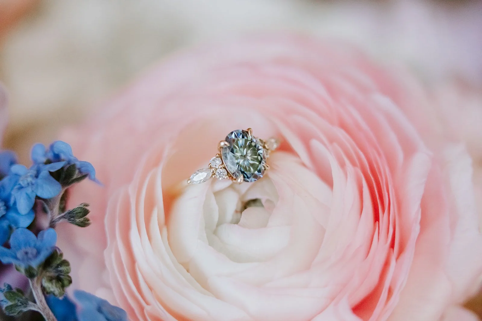 Thoughtful Marriage Proposal Ideas in Cleveland, TN &amp; Chattanooga