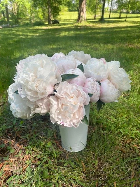 blush-white-peonies-cleveland-tn-sweet-south-flowers.JPG
