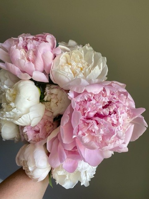 pink-and-white-peony-bouquet-cleveland-tn-sweet-south-flowers.JPG