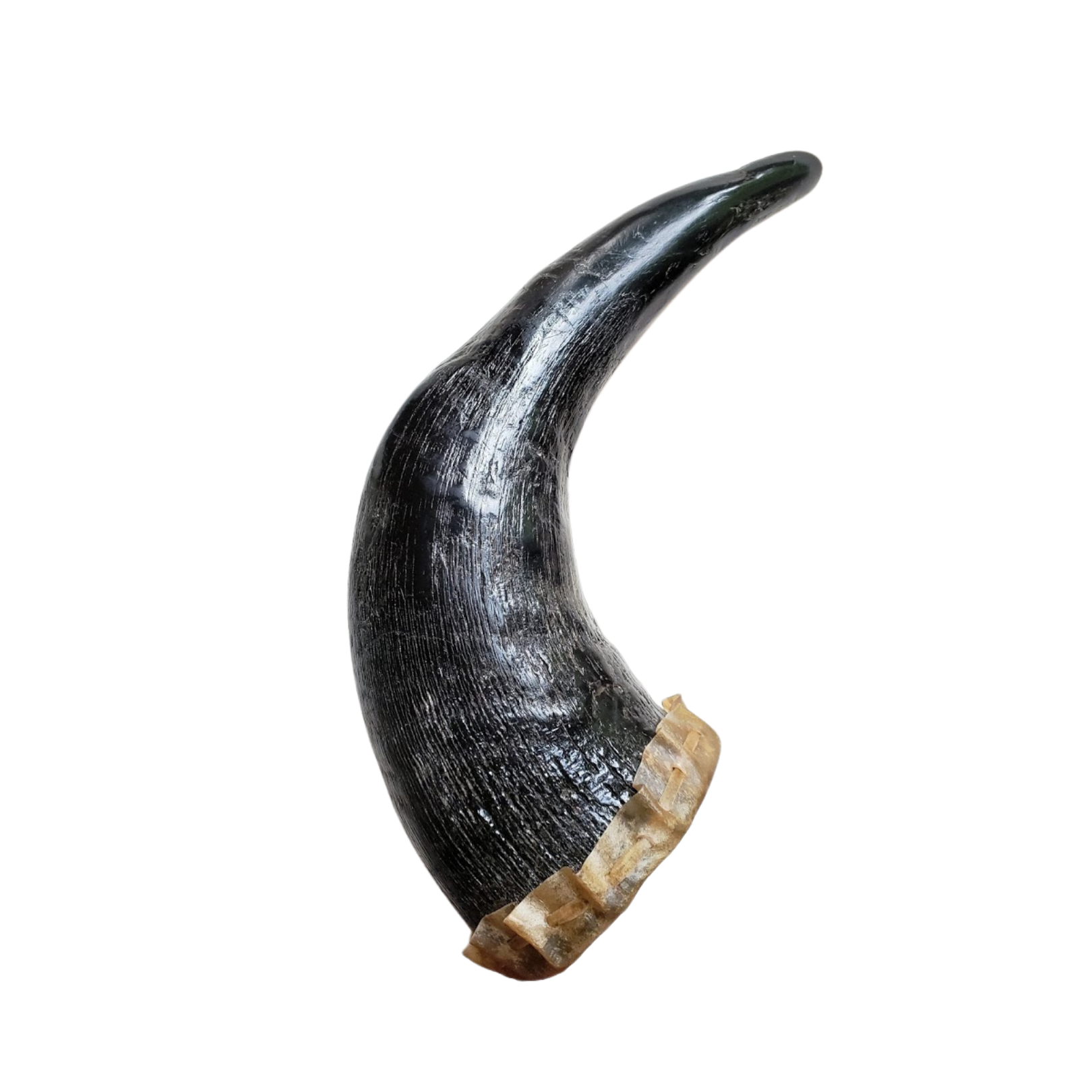 Untitled design (46).png