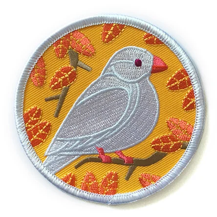 White FInch.jpg