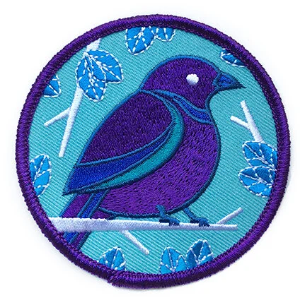 Brewer's Blackbird.jpg