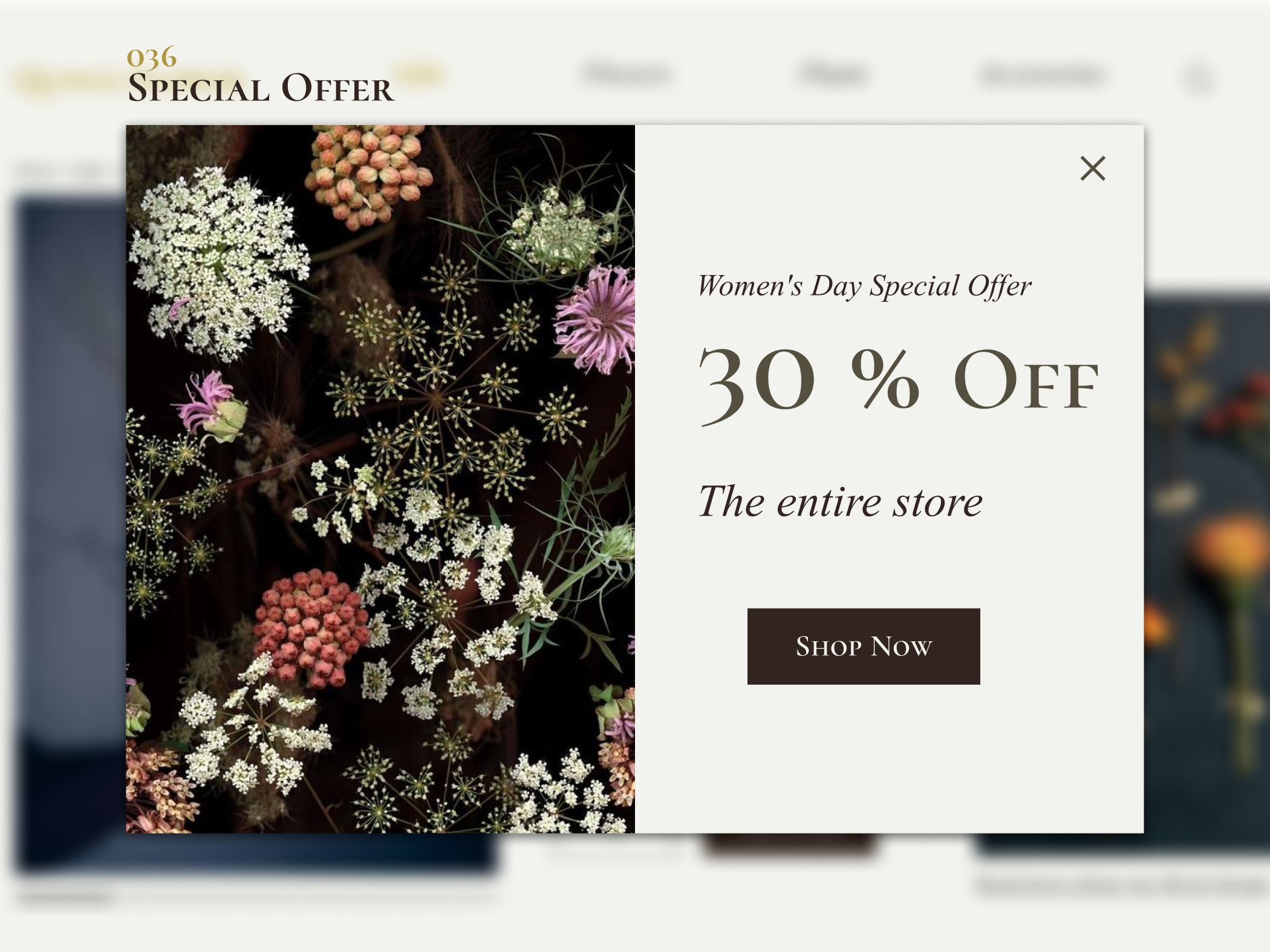 036 Special Offer.png