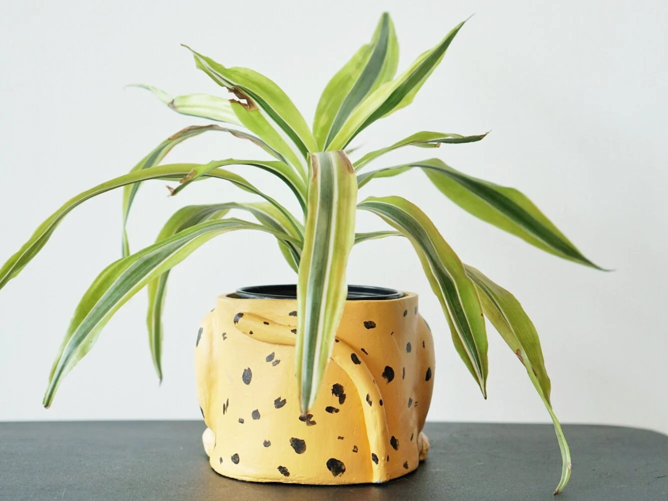 WeChat Image_20210419152209.jpg