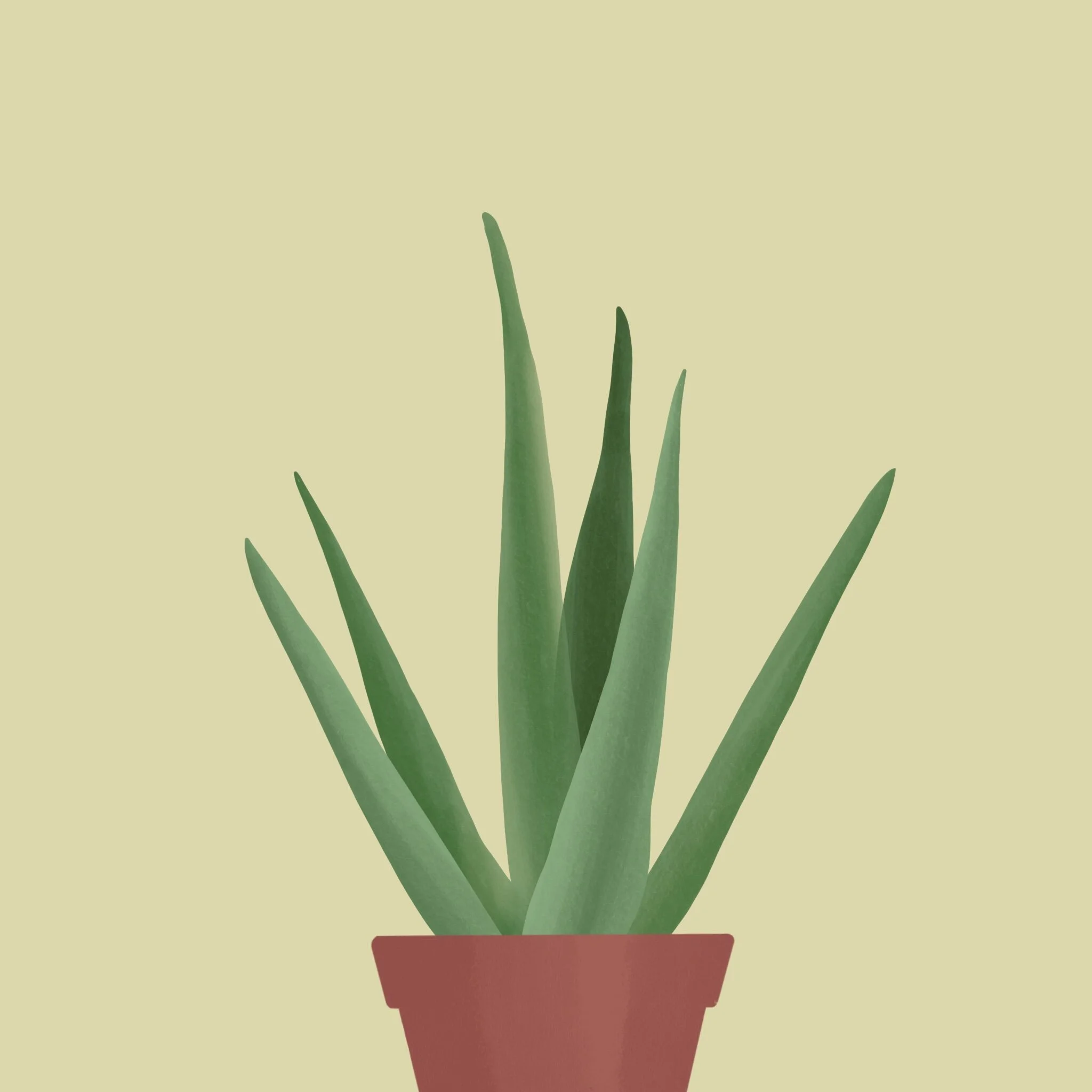 WeChat Image_20210419153228.jpg