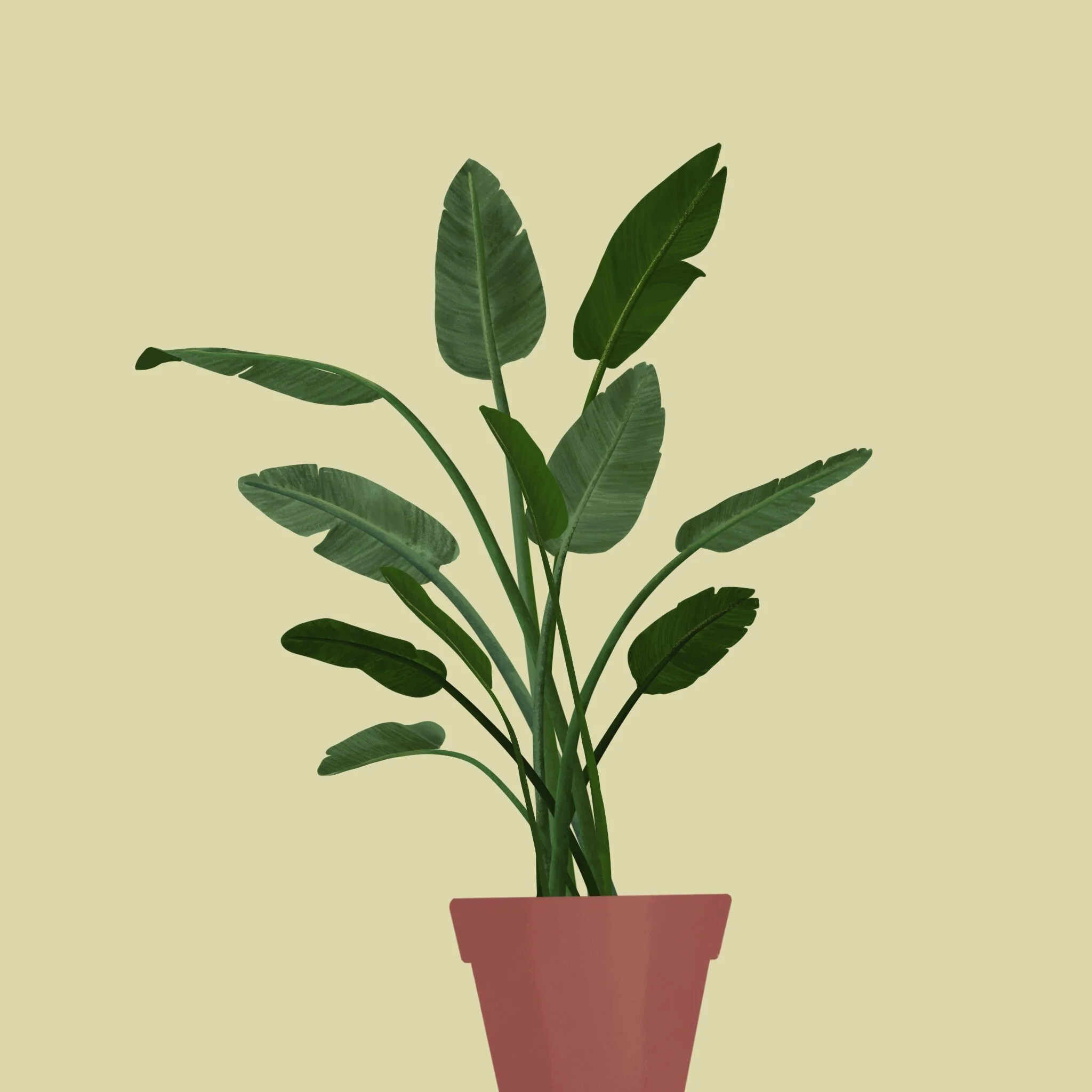 WeChat Image_20210419153222.jpg