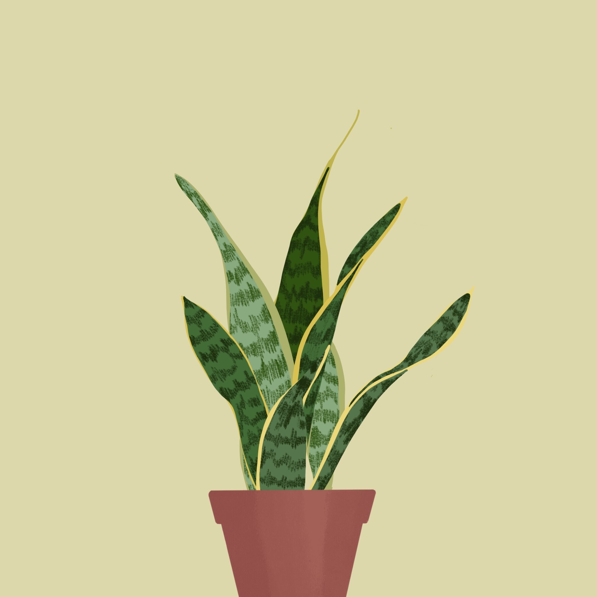 WeChat Image_20210419153237.jpg