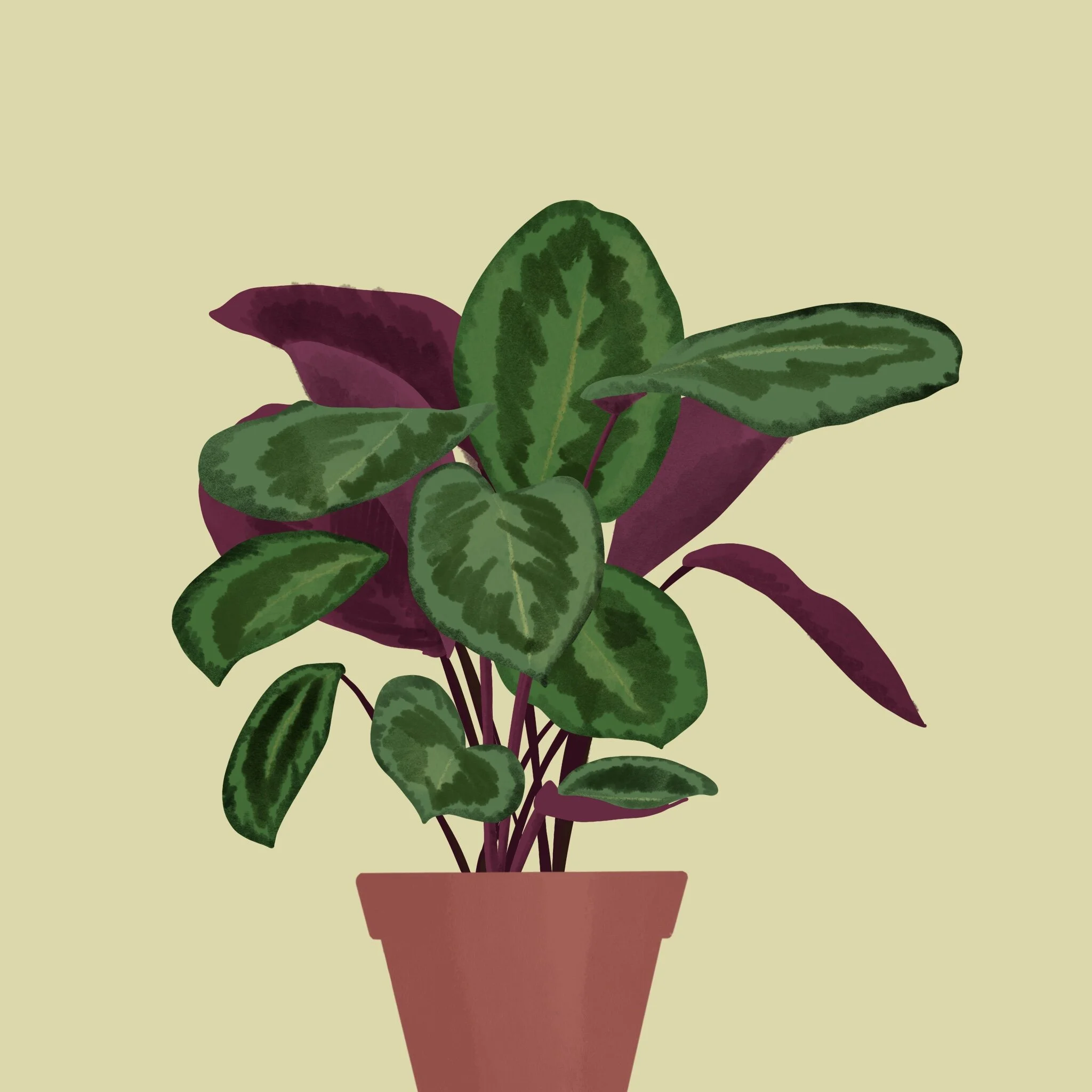 WeChat Image_20210419153233.jpg