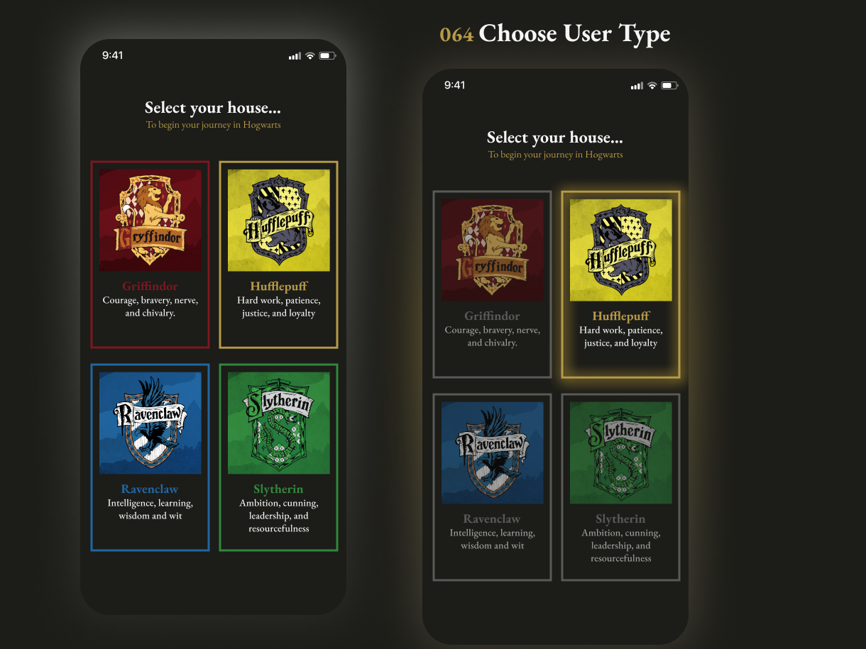 064 Choose User Type.png