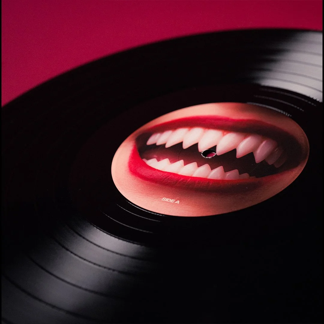 LL_Cub-Vinyl-Carousel-4.jpg