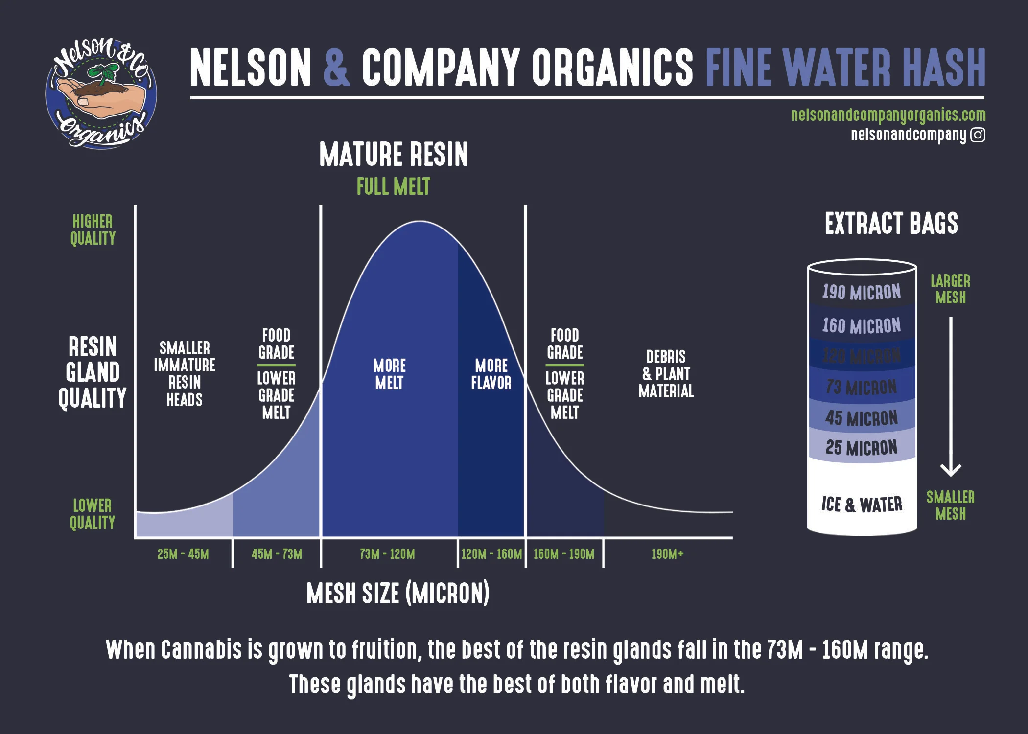 nelson & co hash explained brochure.jpg