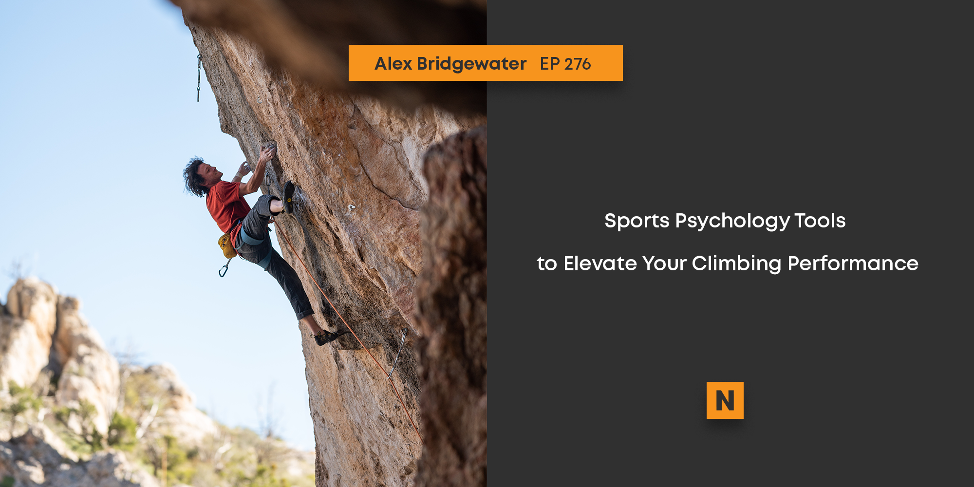 EP 276: Alex Bridgewater Returns