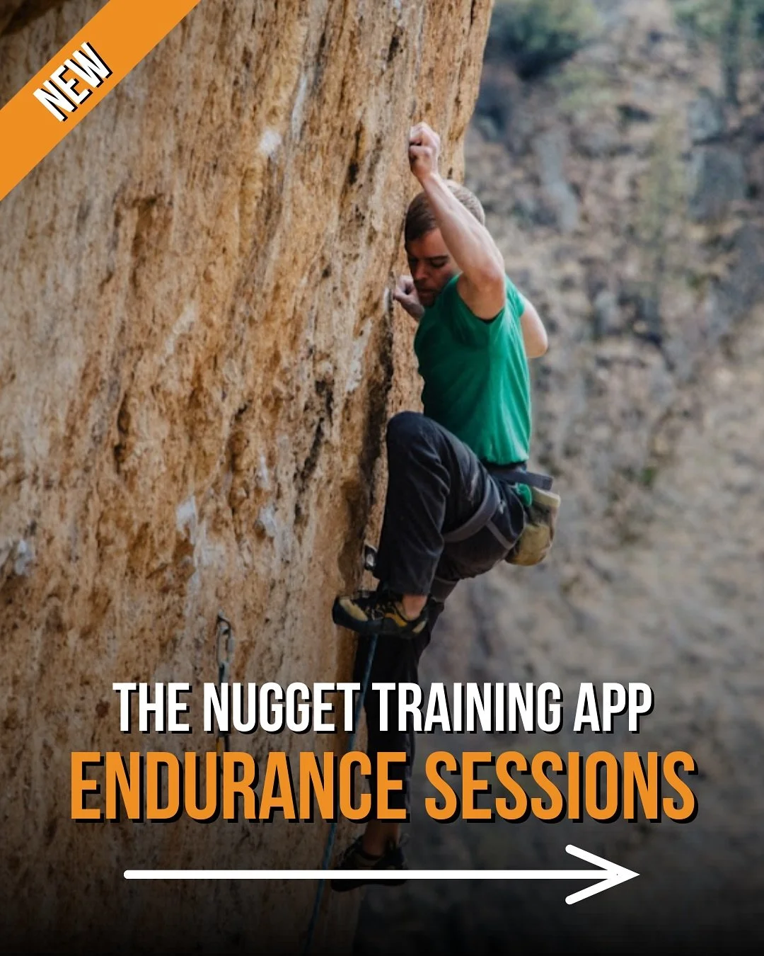NEW Endurance Sessions in The Nugget Training App! 📲

Find these 6 new endurance sessions under &lsquo;Route Climbing&rsquo;:

1️⃣ Up-Down-Ups
2️⃣ 30-Move Circuit
3️⃣ Long Circuit
4️⃣ 30:30s
5️⃣ Arcing
6️⃣ Carcing

Comment &ldquo;APP&rdquo; for a 14