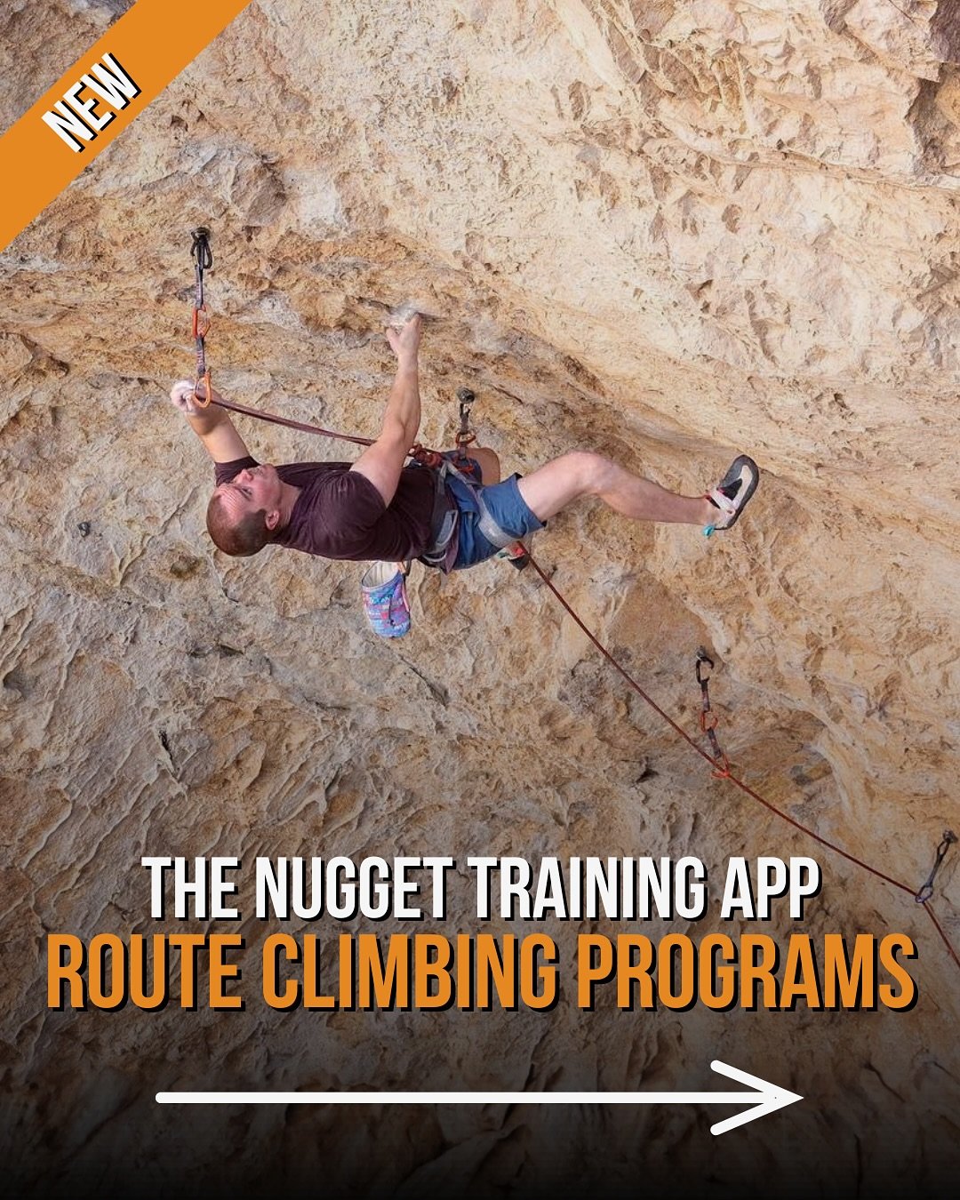NEW Route Climbing Programs in The Nugget Training App! 📲

If you want structure in your sessions or a clear path to better route climbing, these are for you!

⚔️ Forge the Sword
A 4-week route climbing program designed to increase your overall fitn
