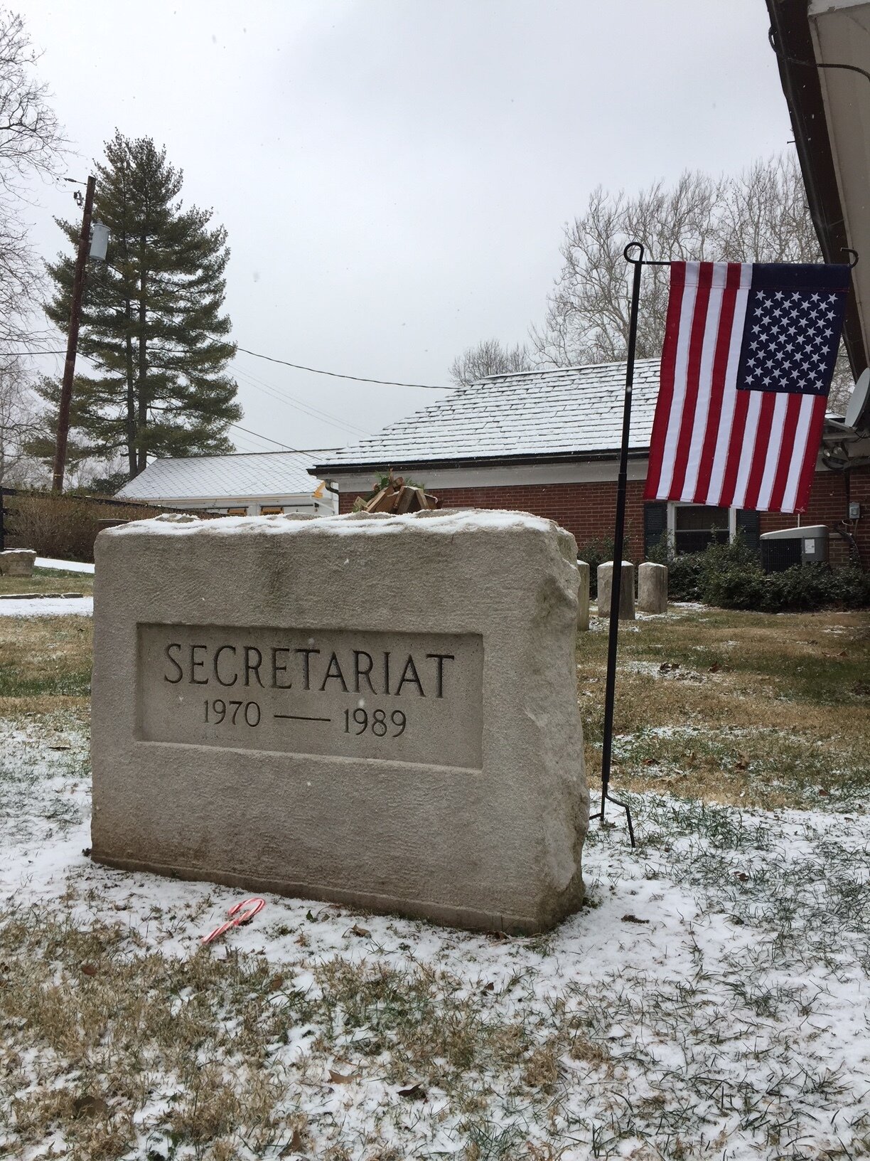 The Horse and the Writer 