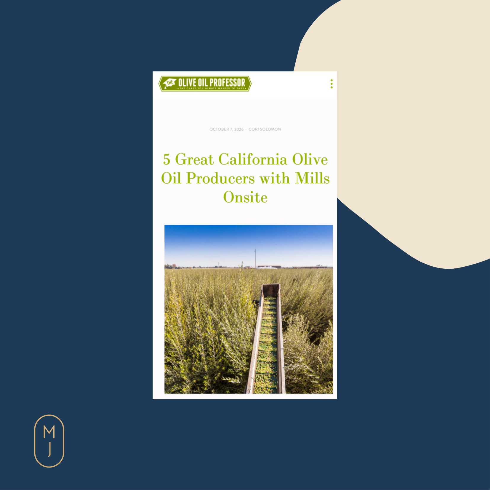 Olive Oil Professor | COOC