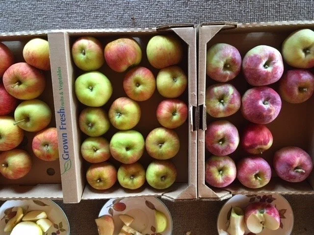 Apples.jpg