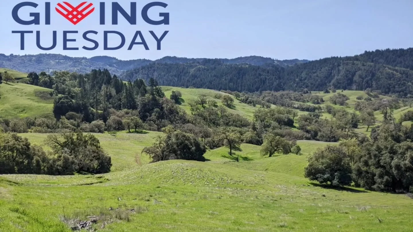 #givingtuesday was created in 2012 as a simple yet profound idea: encourage people to do good.

AVLT was started in 1991 by locals with a mission of doing good - safeguarding the wild and working lands of Andersin Valley. 

Today, we are still going 