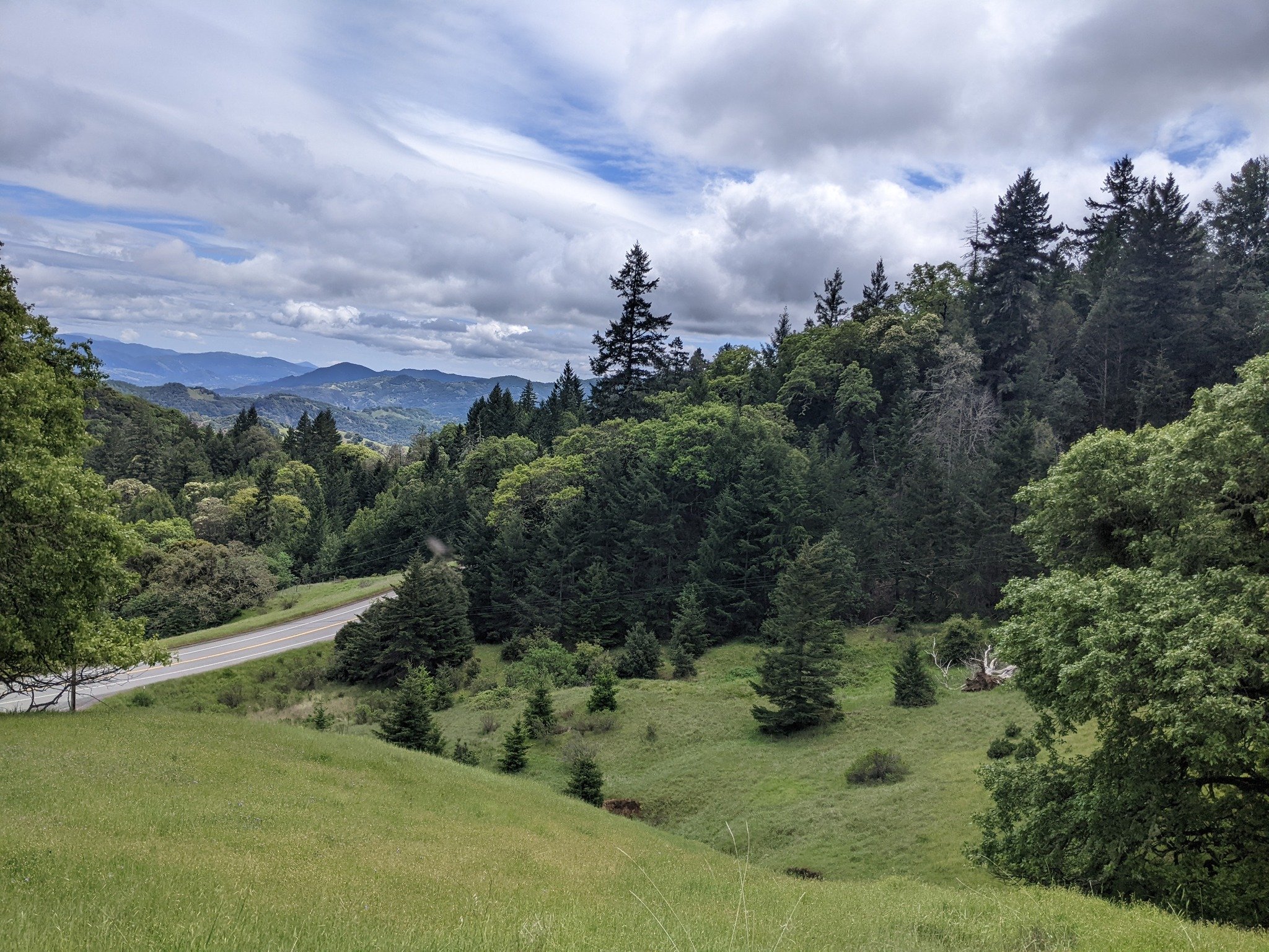 A view from AVLT's newest conservation easement, finalized in March of 2025. Located along Highway 253 and leading to the entrance of Anderson Valley, this easement is 192 acres of grassy rolling hills, oak woodlands, and mixed conifer forests. 

The