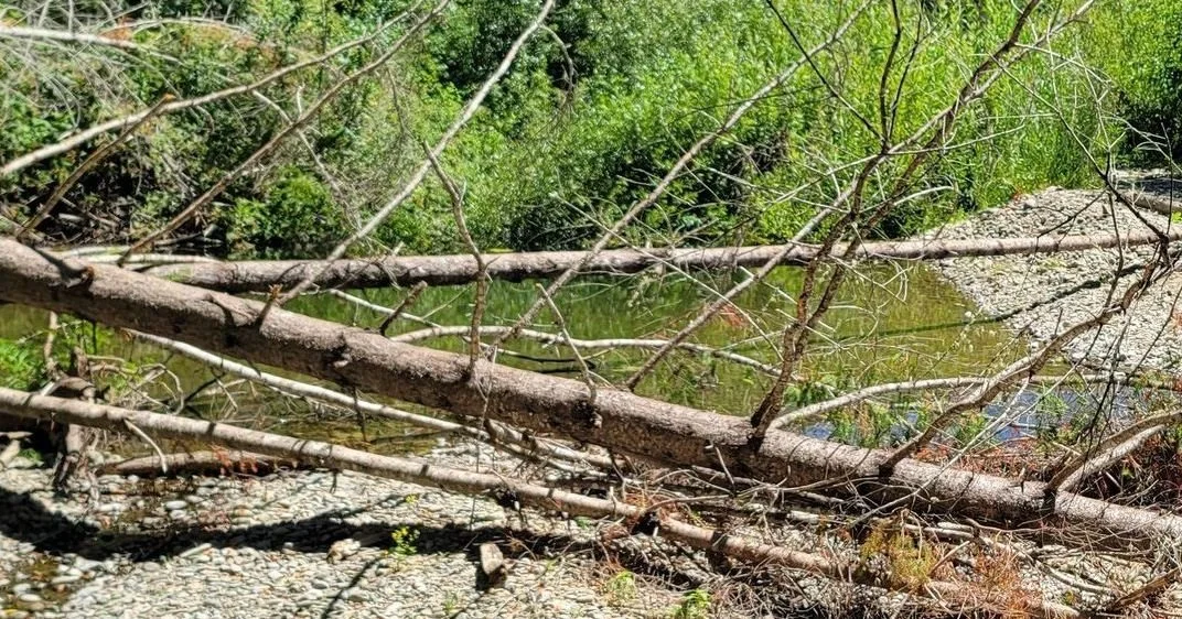 Planning day for a restoration project on Indian Creek in Philo. AV Land Trust received a grant from California Council of Land Trusts's Project Advancement Grant, funded by the @wildlifeconservationboard for the creation of the project. 

Plans incl