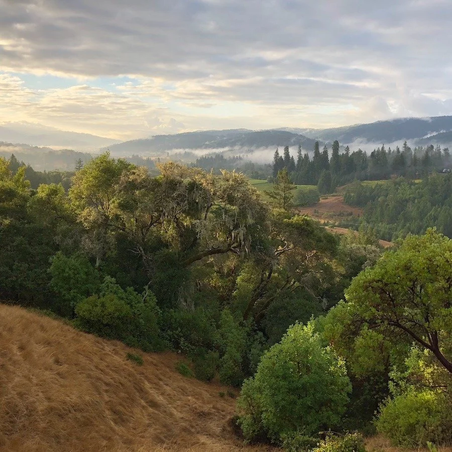 Overview of Anderson Valley. No filters, just a beautiful view.