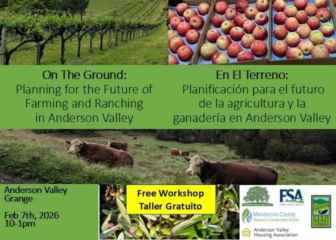 Flyer for the workshop