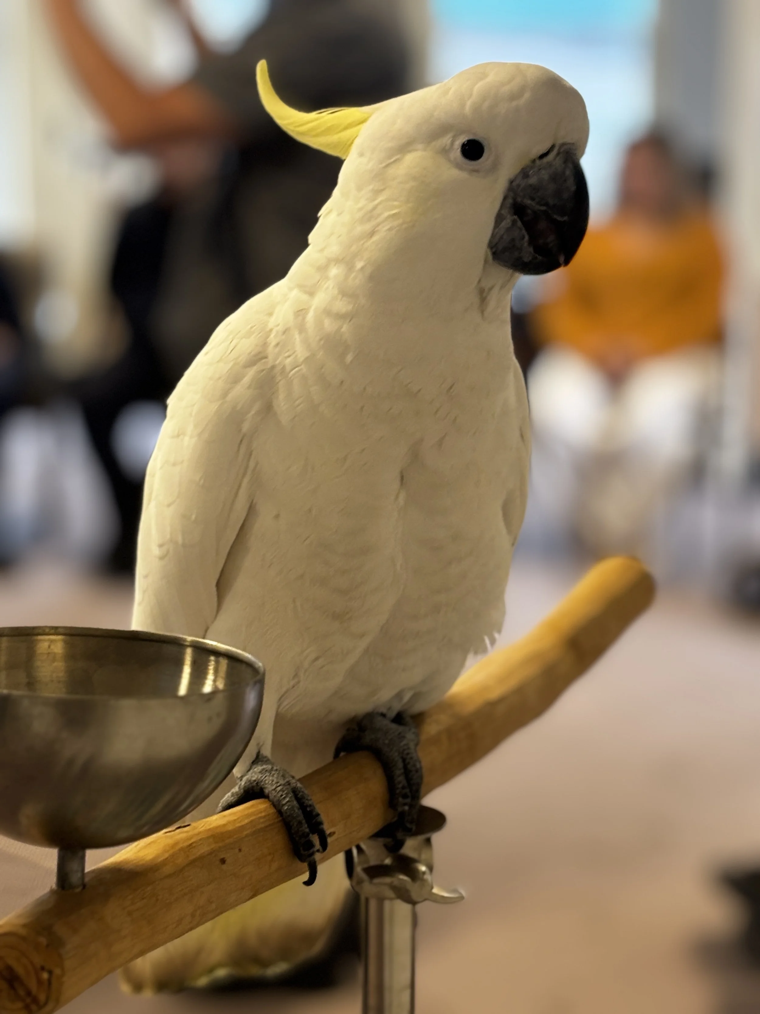 IMG_8047.JPG