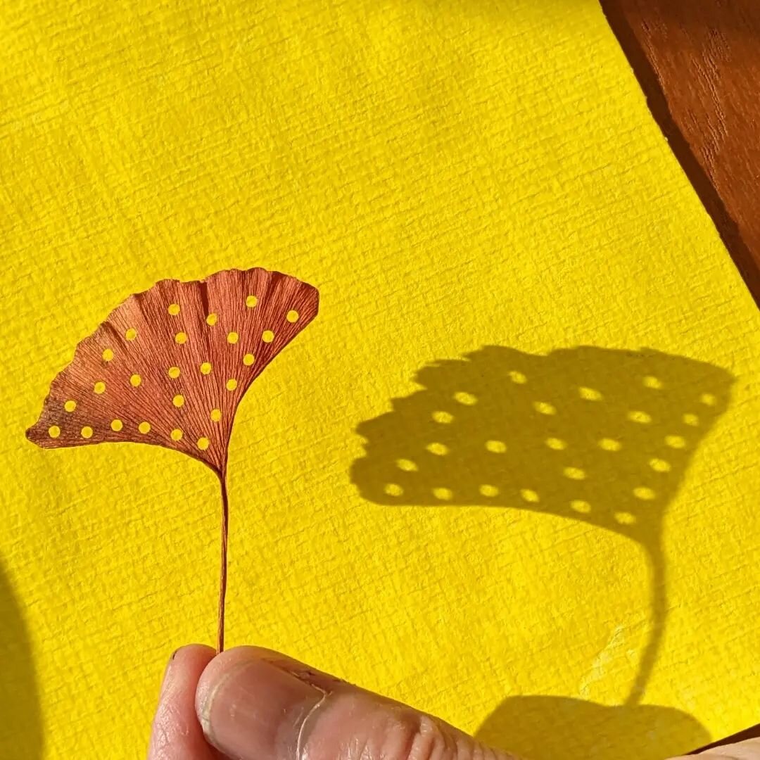Lunchtime leaf cutting
Ginkgo leaf collected last Fall in #downtownamherst

#leafcuttingart  #preservedleaves #ginkgoleaf #leafandpaperart #westernmassmaker #foundforaged  #guildofamericanpapercutters