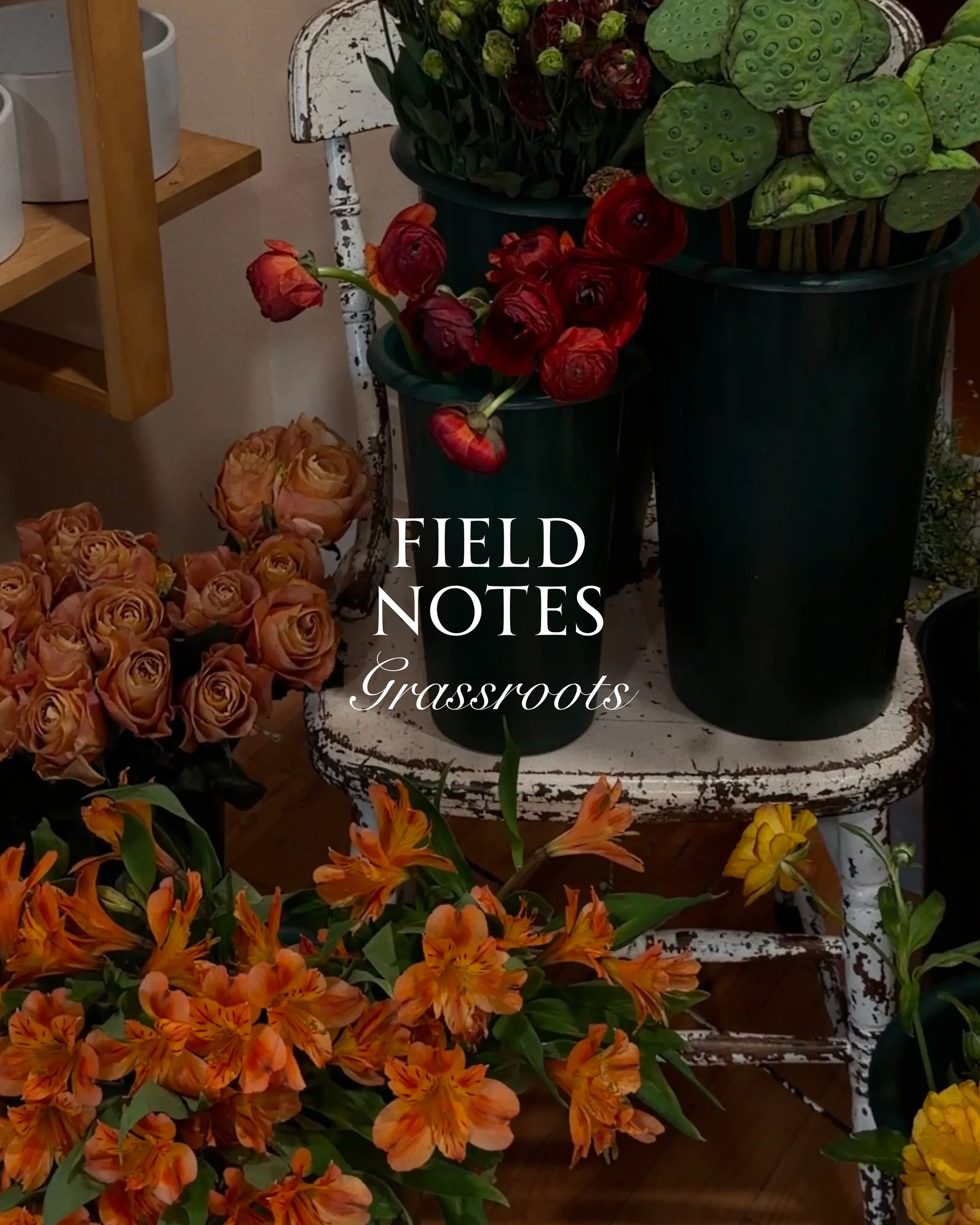 Introducing Field Notes: A new series on the people and practices that shape the spaces we design. We began with @grassrootsbklyn, a conversation that reminded us why we love this work &mdash; the care, the instinct, the quiet joy of making a space f