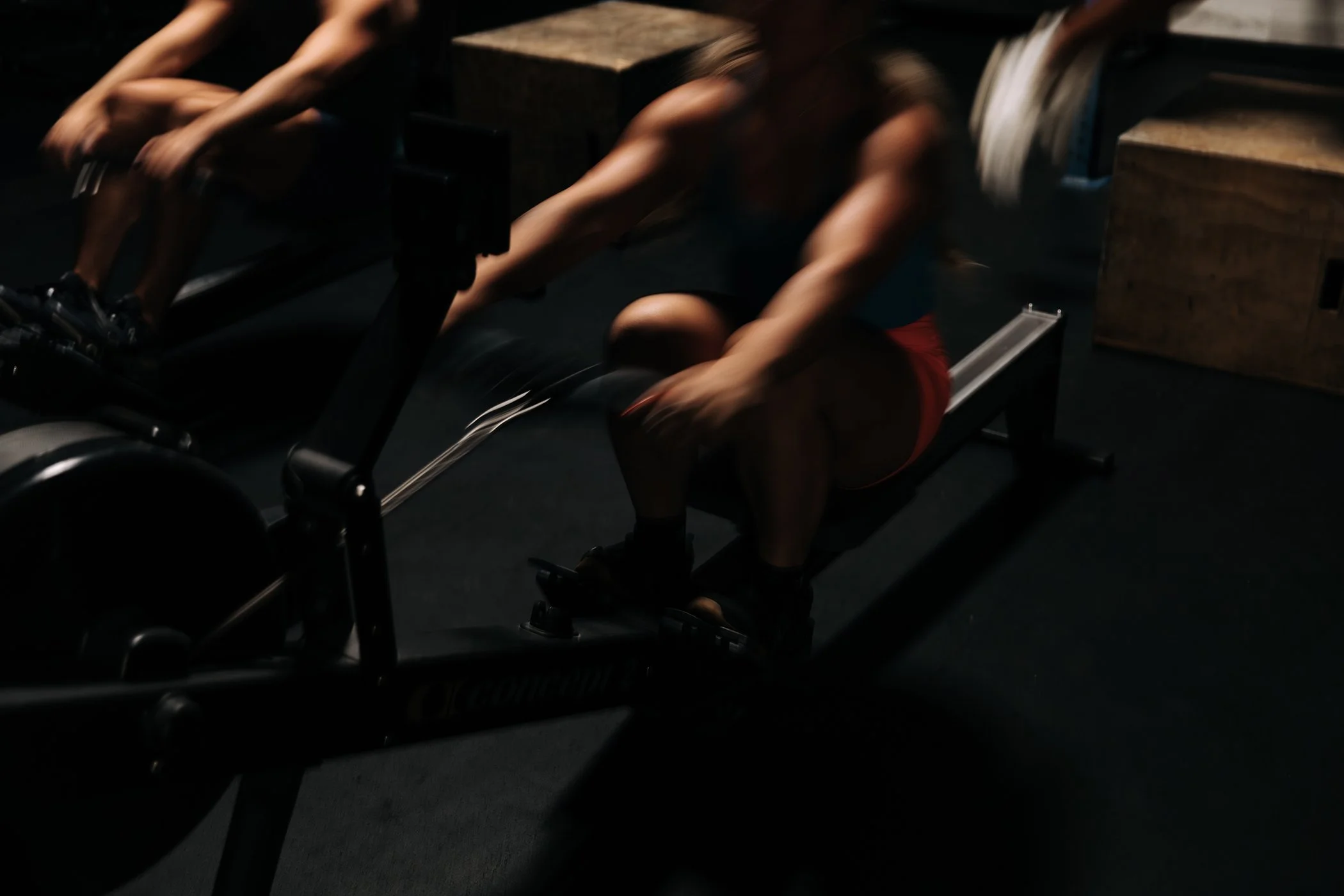 IMG_7141-Enhanced-NR (1).jpg