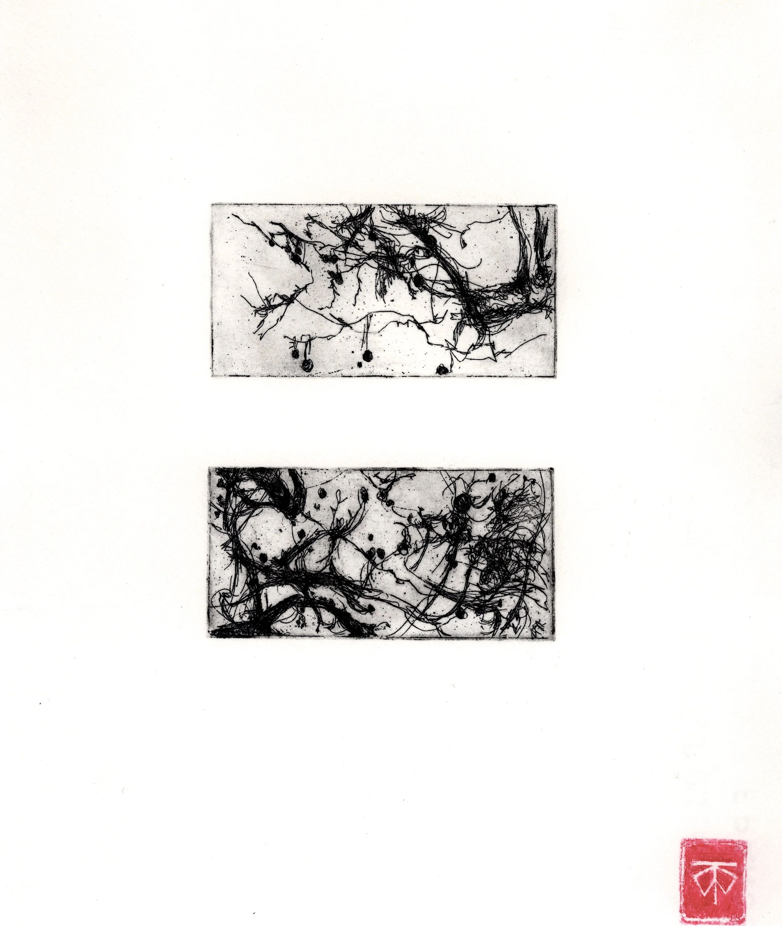 intaglio print trees.jpg