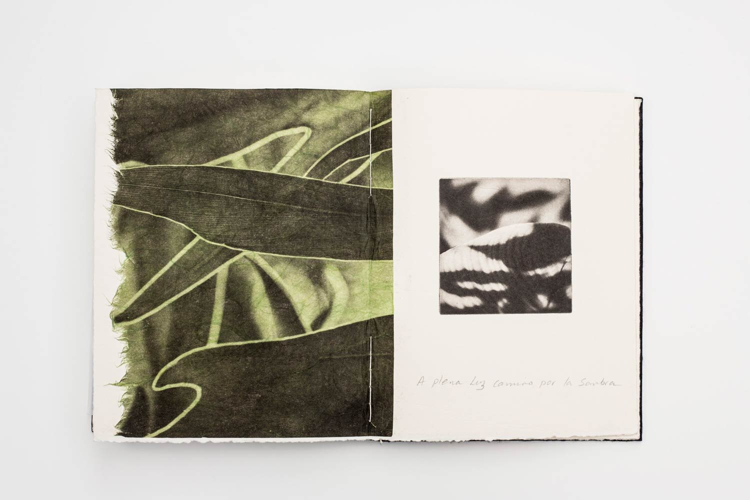 'Sombra-y-Luz'-Artist-Book-Edition-of-3-with-one-artist-proof-6.jpg