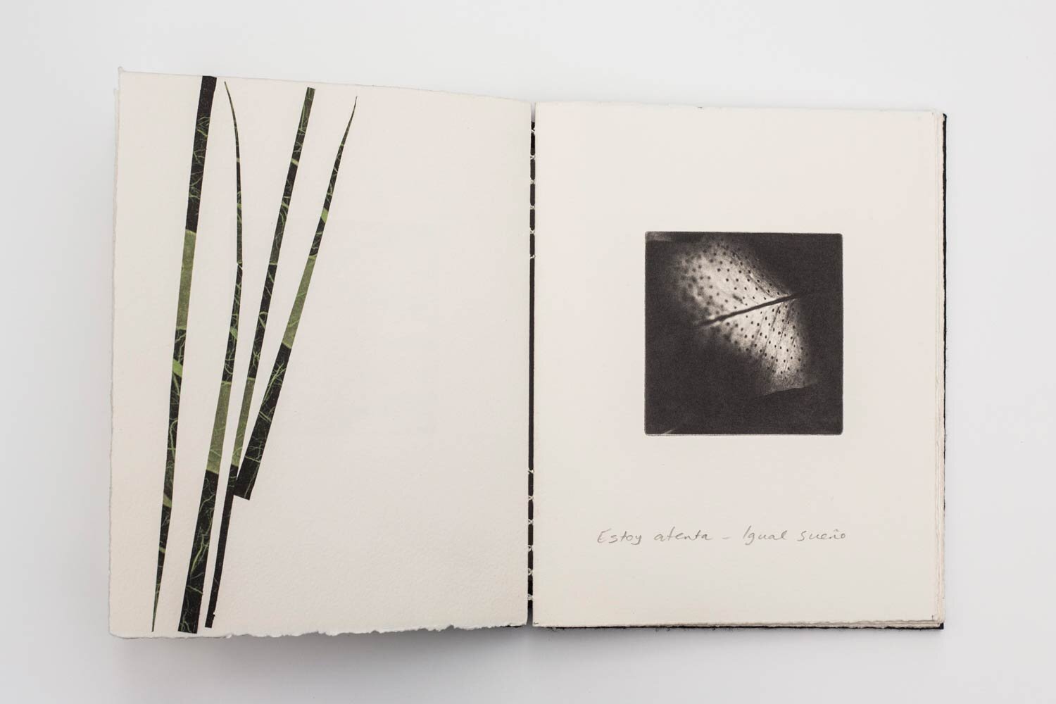 'Sombra-y-Luz'-Artist-Book-Edition-of-3-with-one-artist-proof-4.jpg