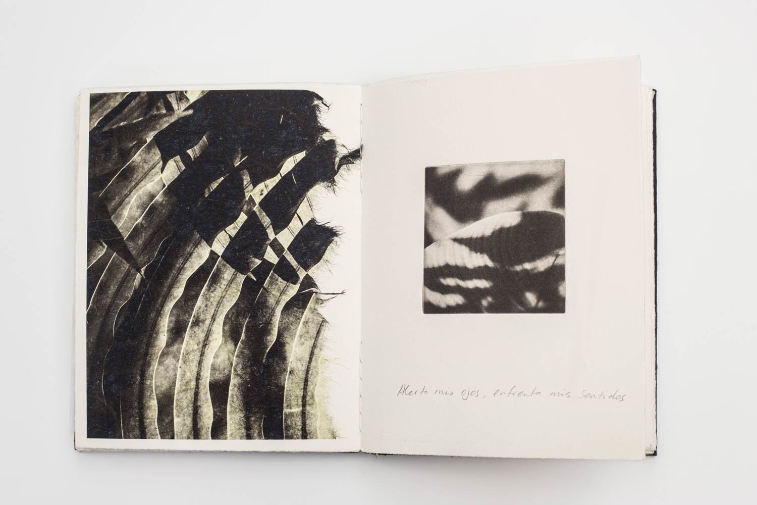 'Sombra-y-Luz'-Artist-Book-Edition-of-3-with-one-artist-proof-5.jpg