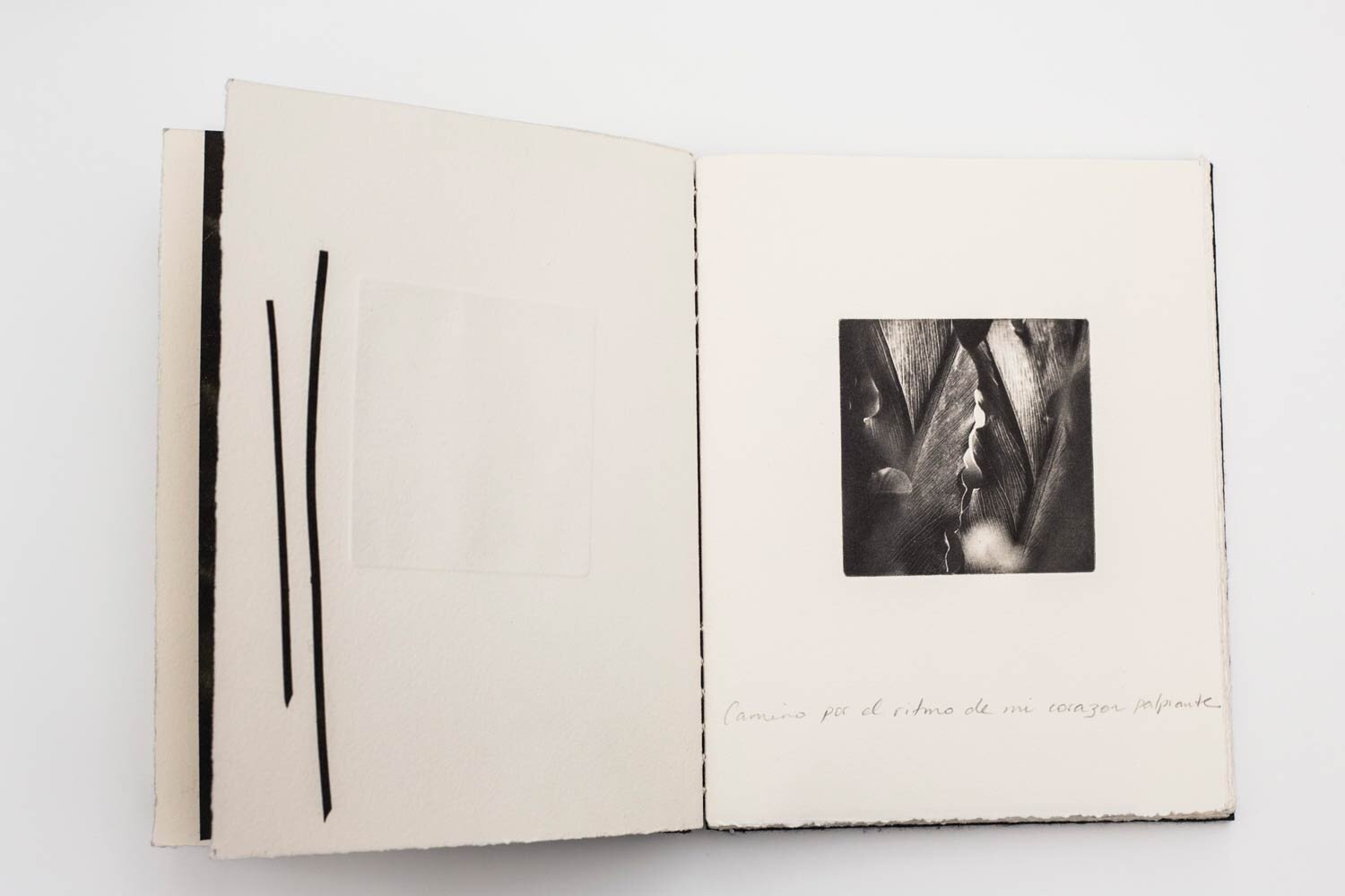 'Sombra-y-Luz'-Artist-Book-Edition-of-3-with-one-artist-proof-3.jpg