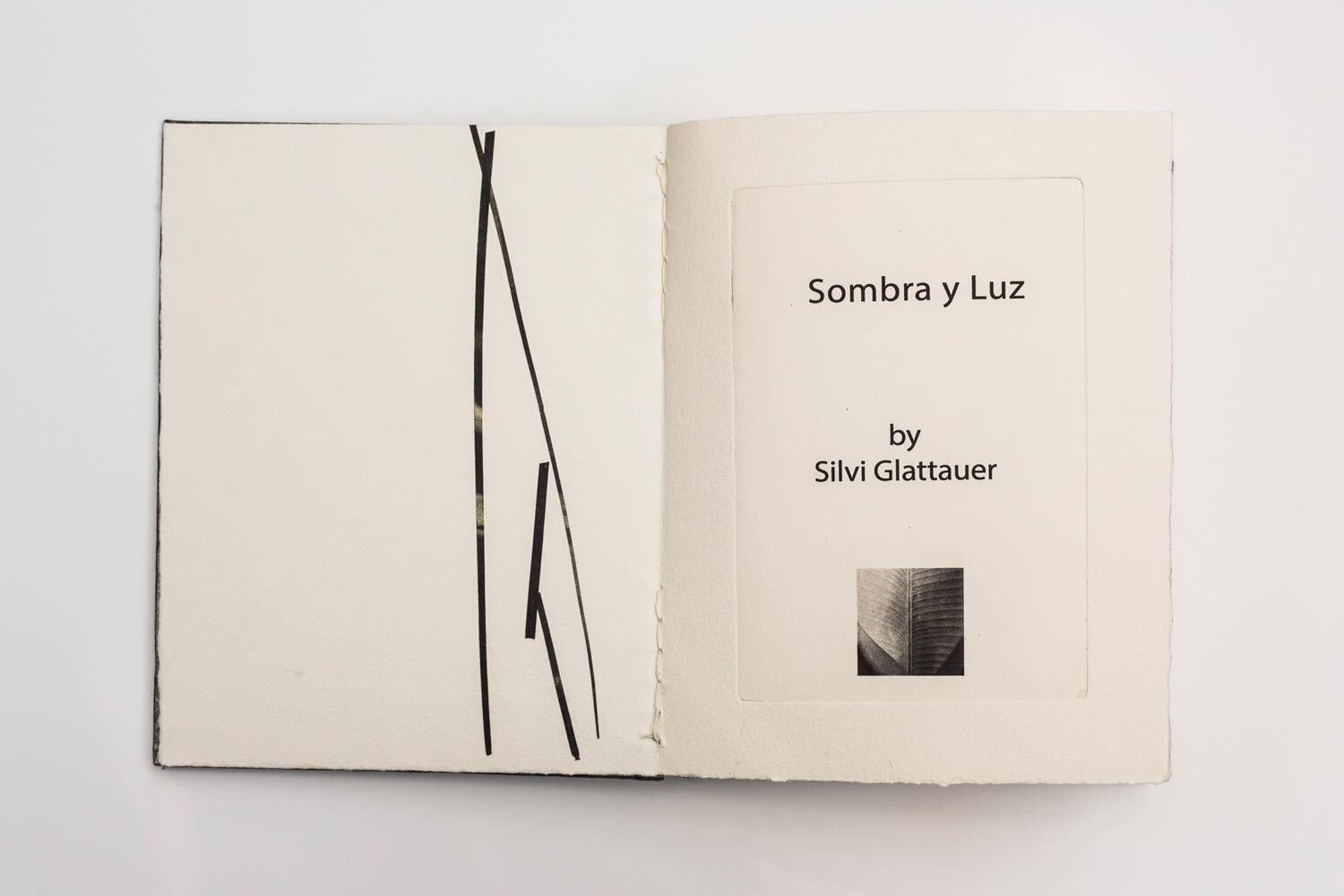 'Sombra-y-Luz'-Artist-Book-Edition-of-3-with-one-artist-proof-2.jpg